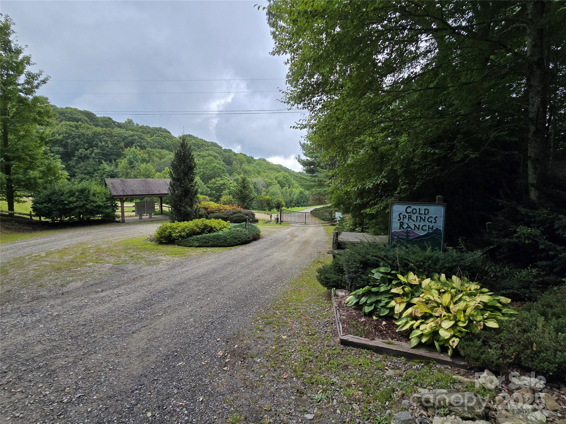 9.83 Acres Juniper Road #23 - Photo 23