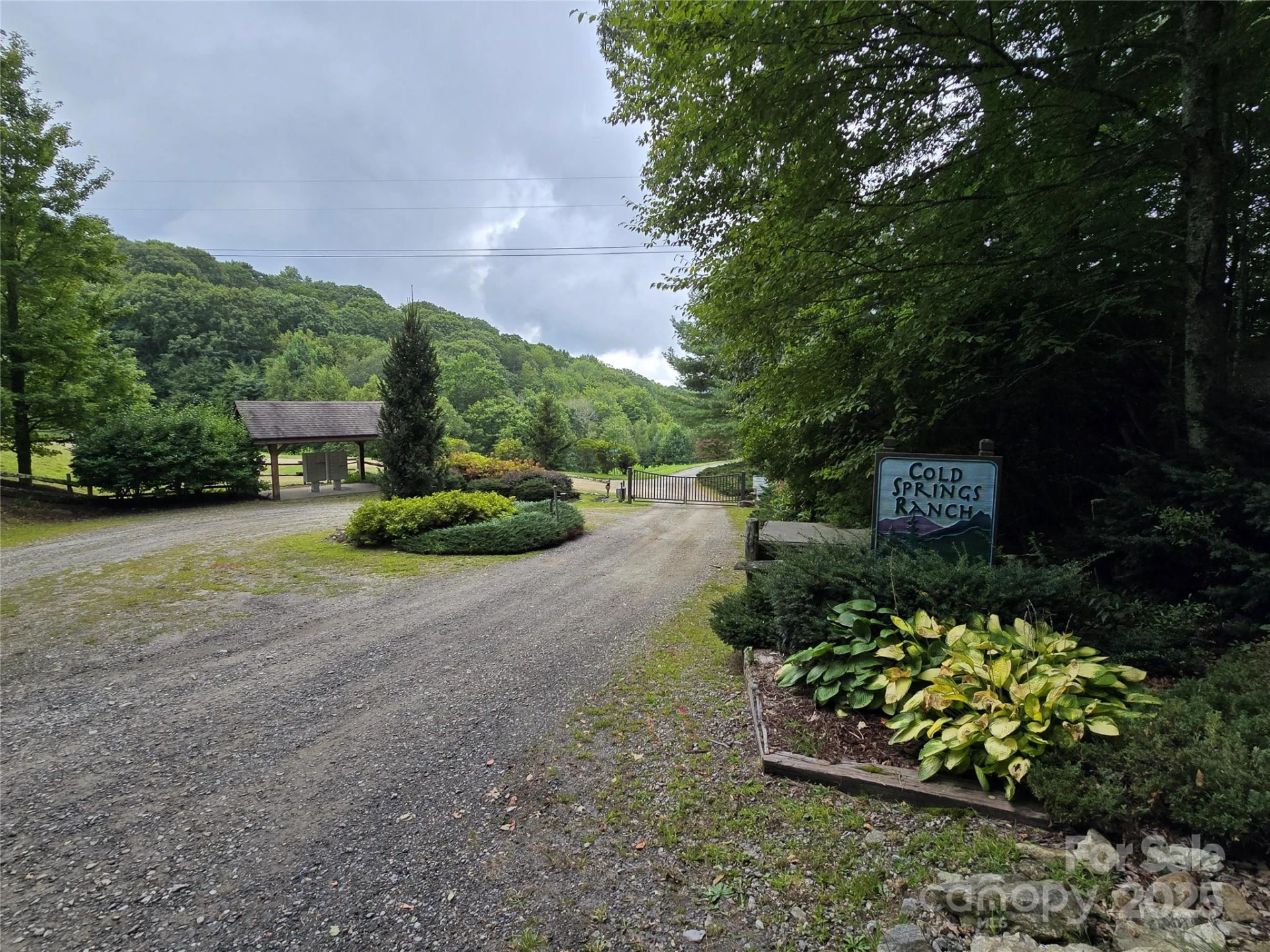 9.83 Acres Juniper Road #23 - Photo 23