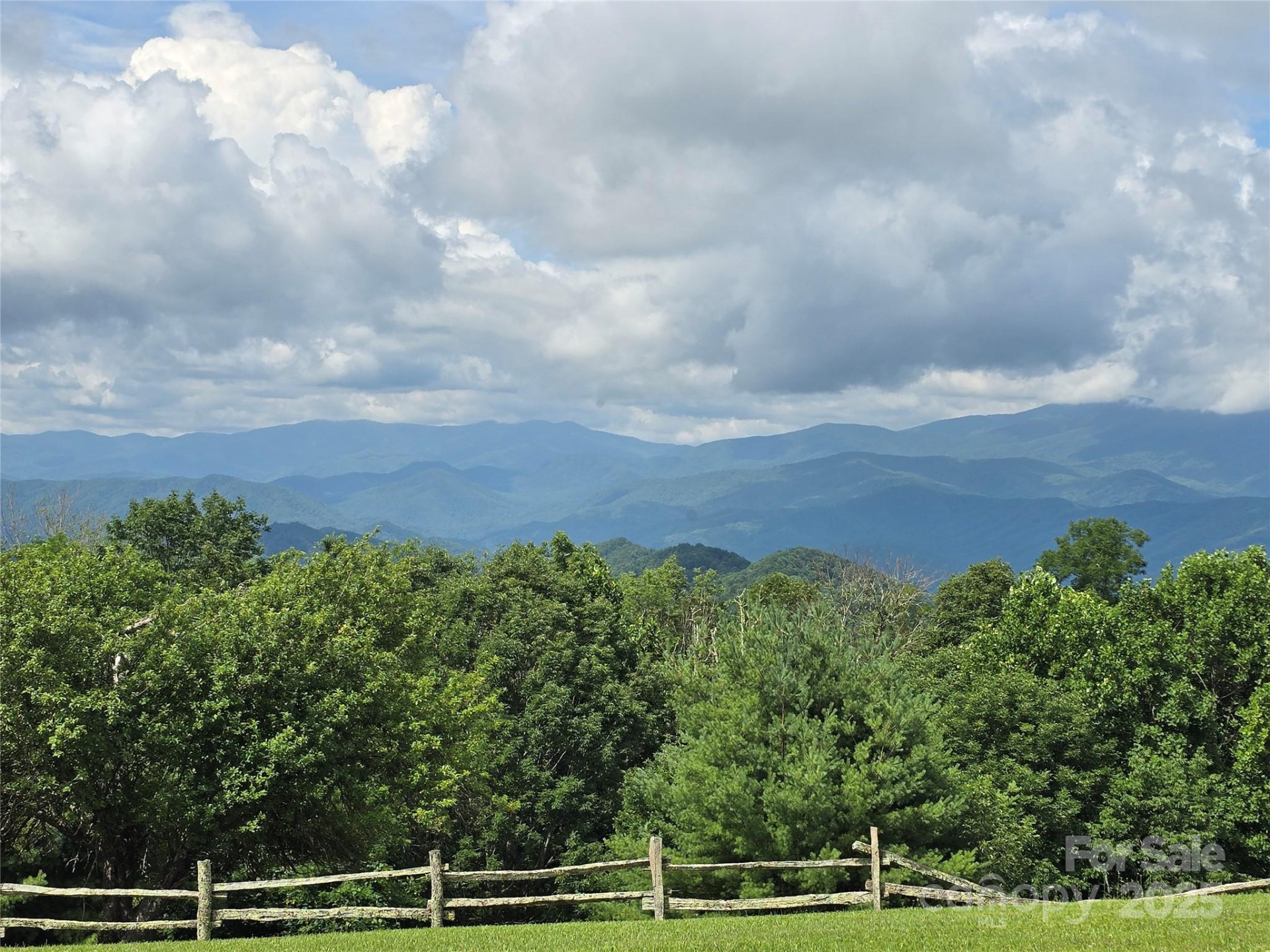 9.83 Acres Juniper Road #23 - Photo 4