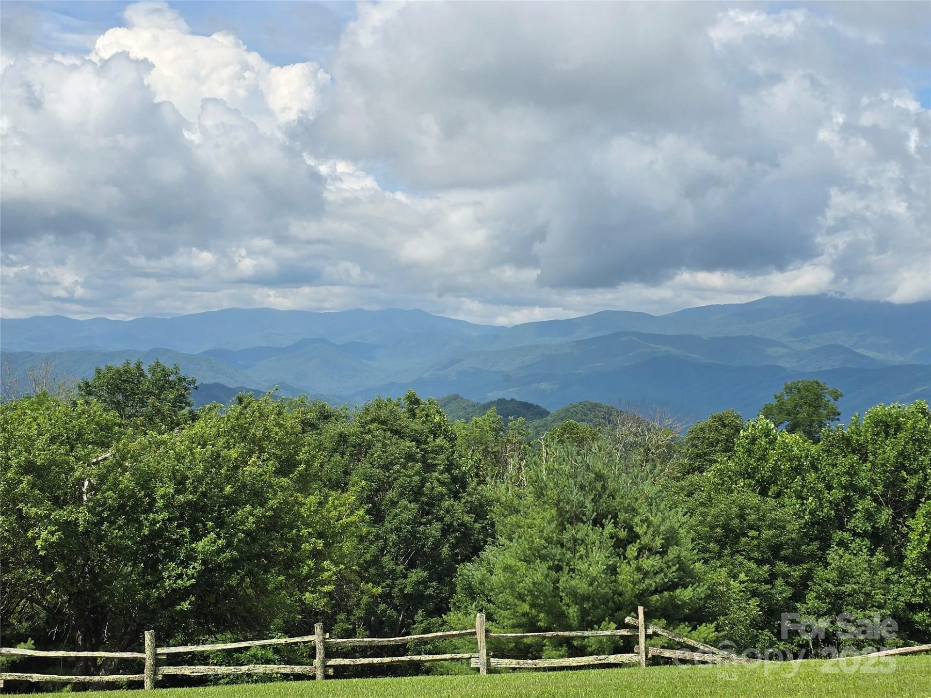 9.83 Acres Juniper Road #23 - Photo 4