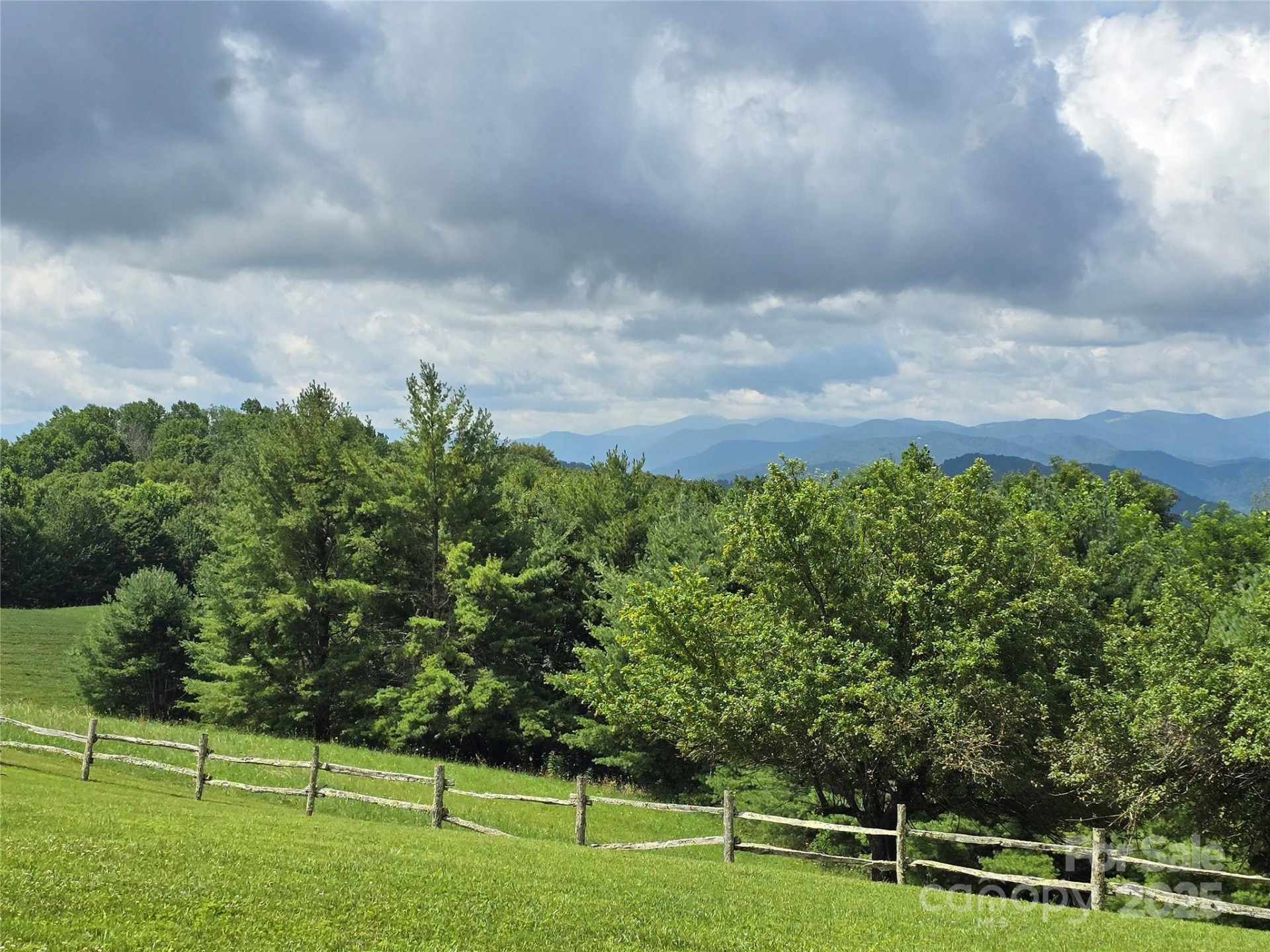 9.83 Acres Juniper Road #23 - Photo 5
