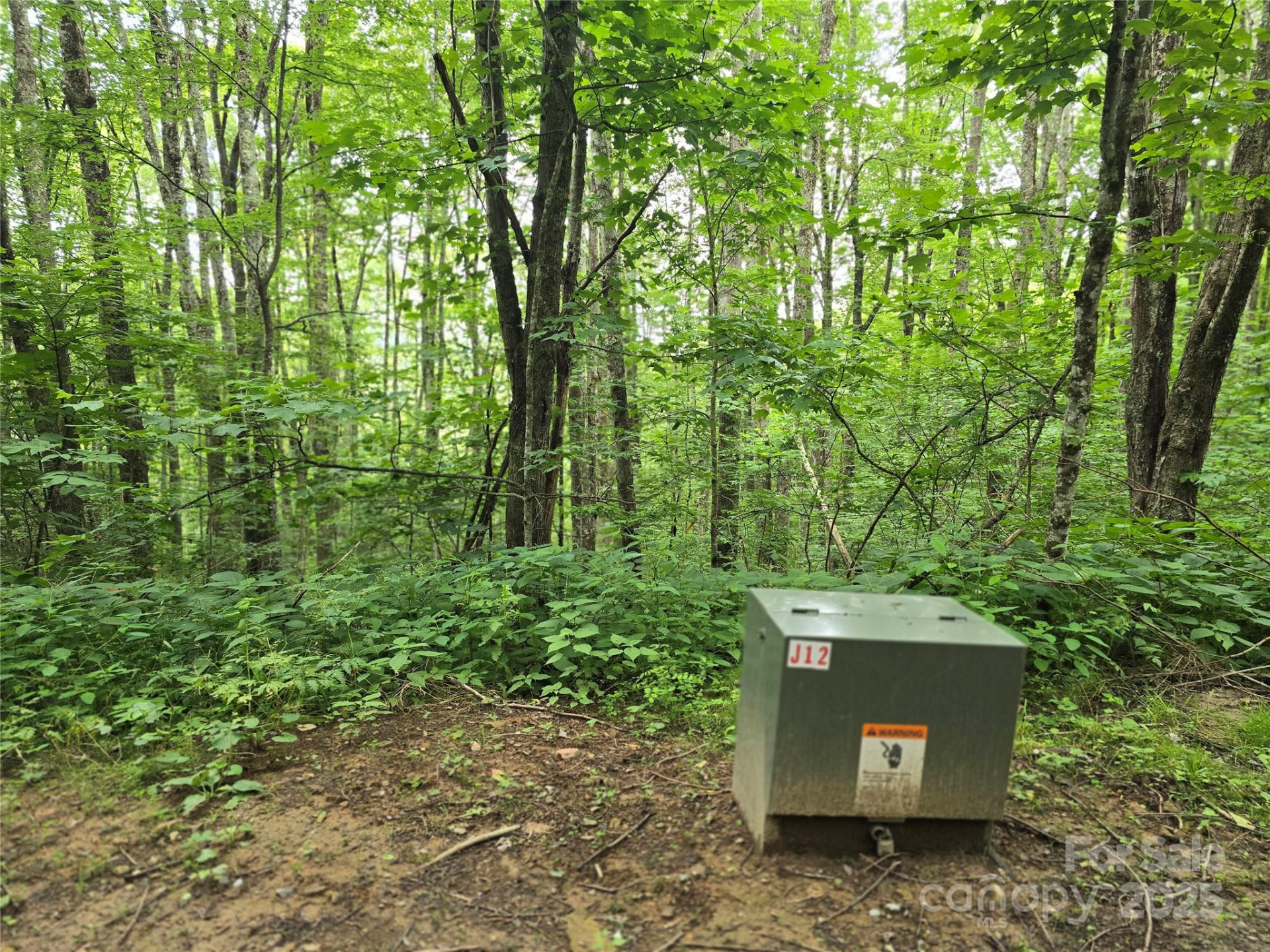 9.83 Acres Juniper Road #23 - Photo 8