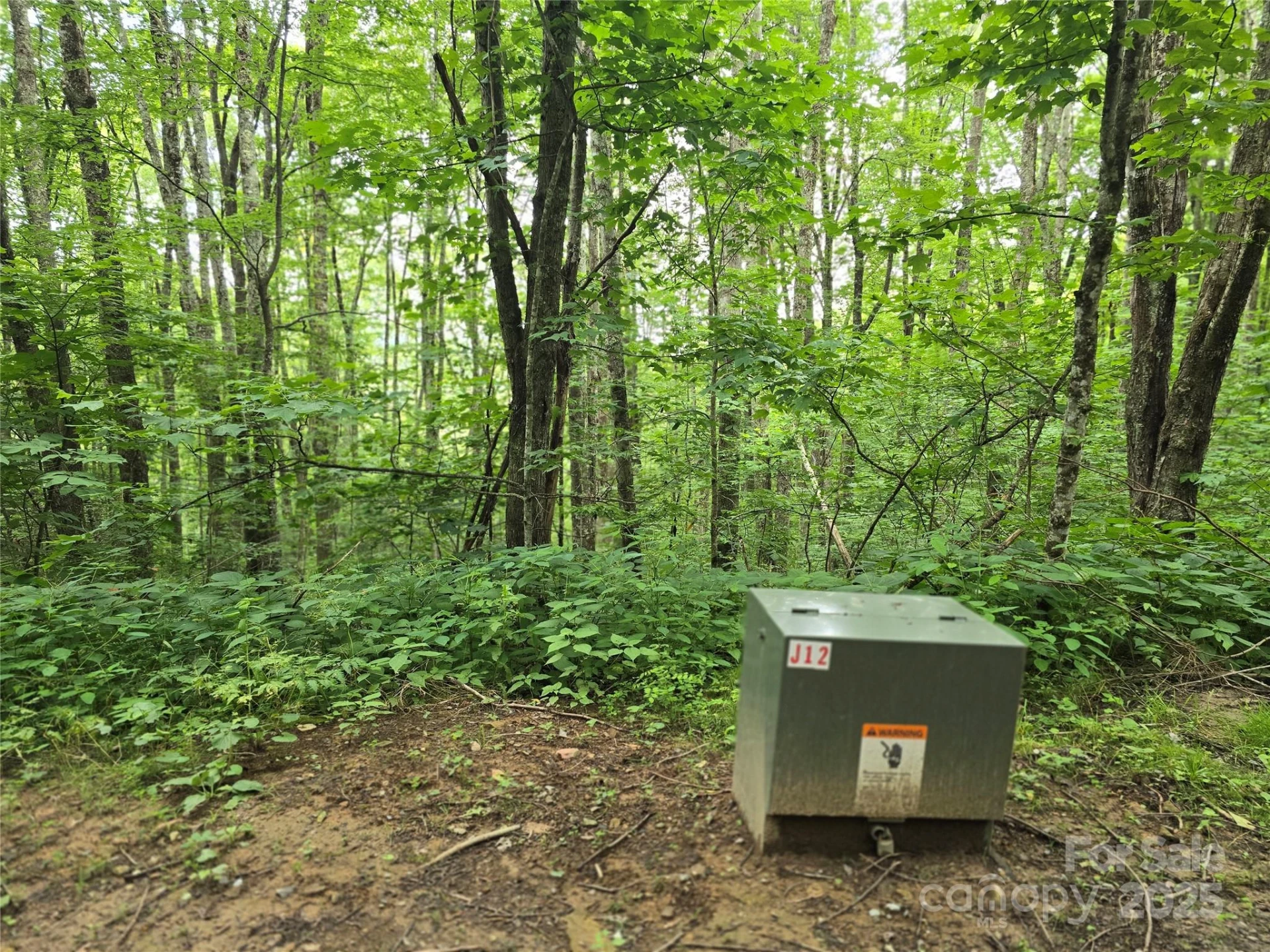 9.83 Acres Juniper Road #23 - Photo 8