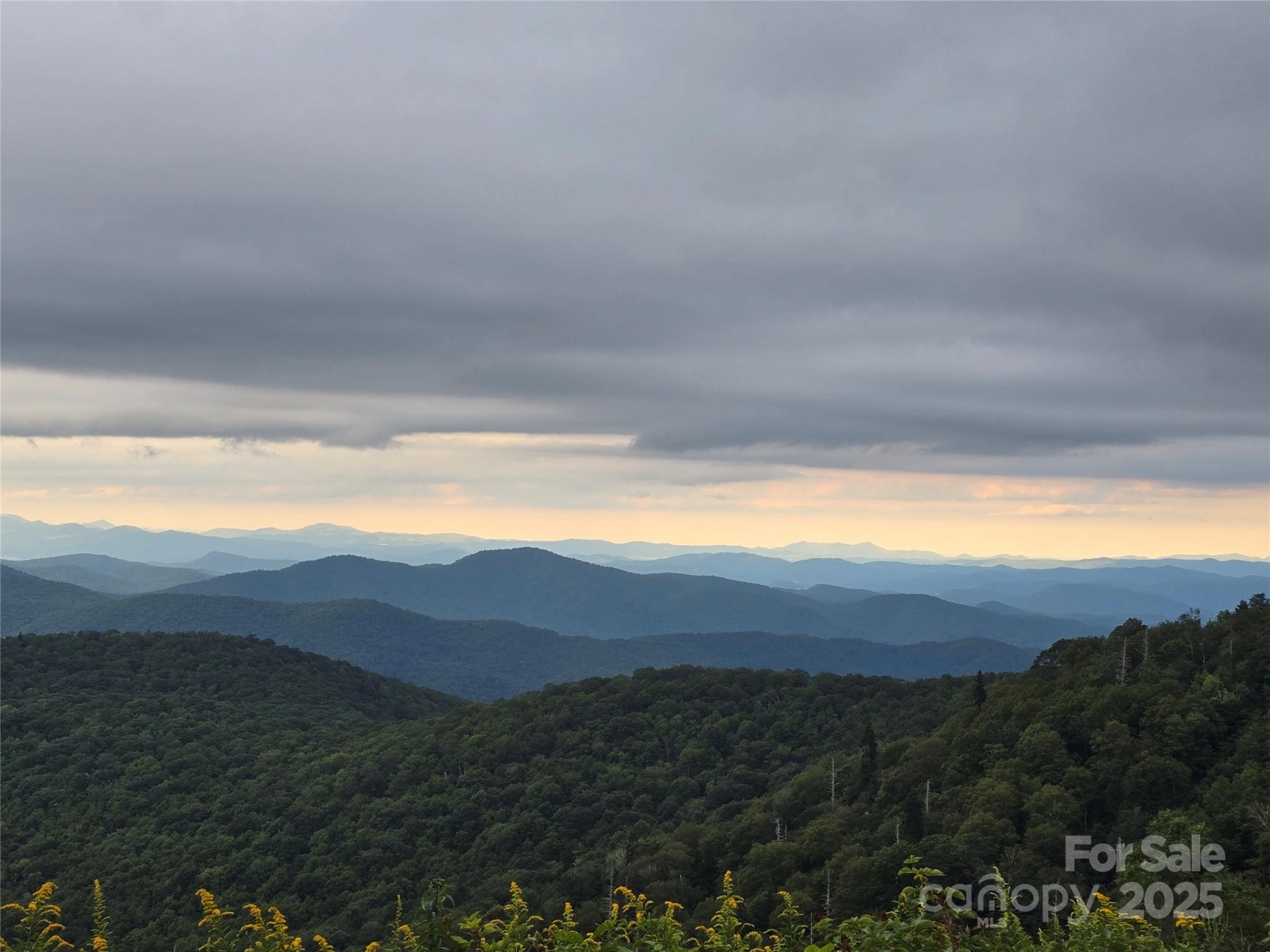 9.83 Acres Juniper Road #23 - Photo 10