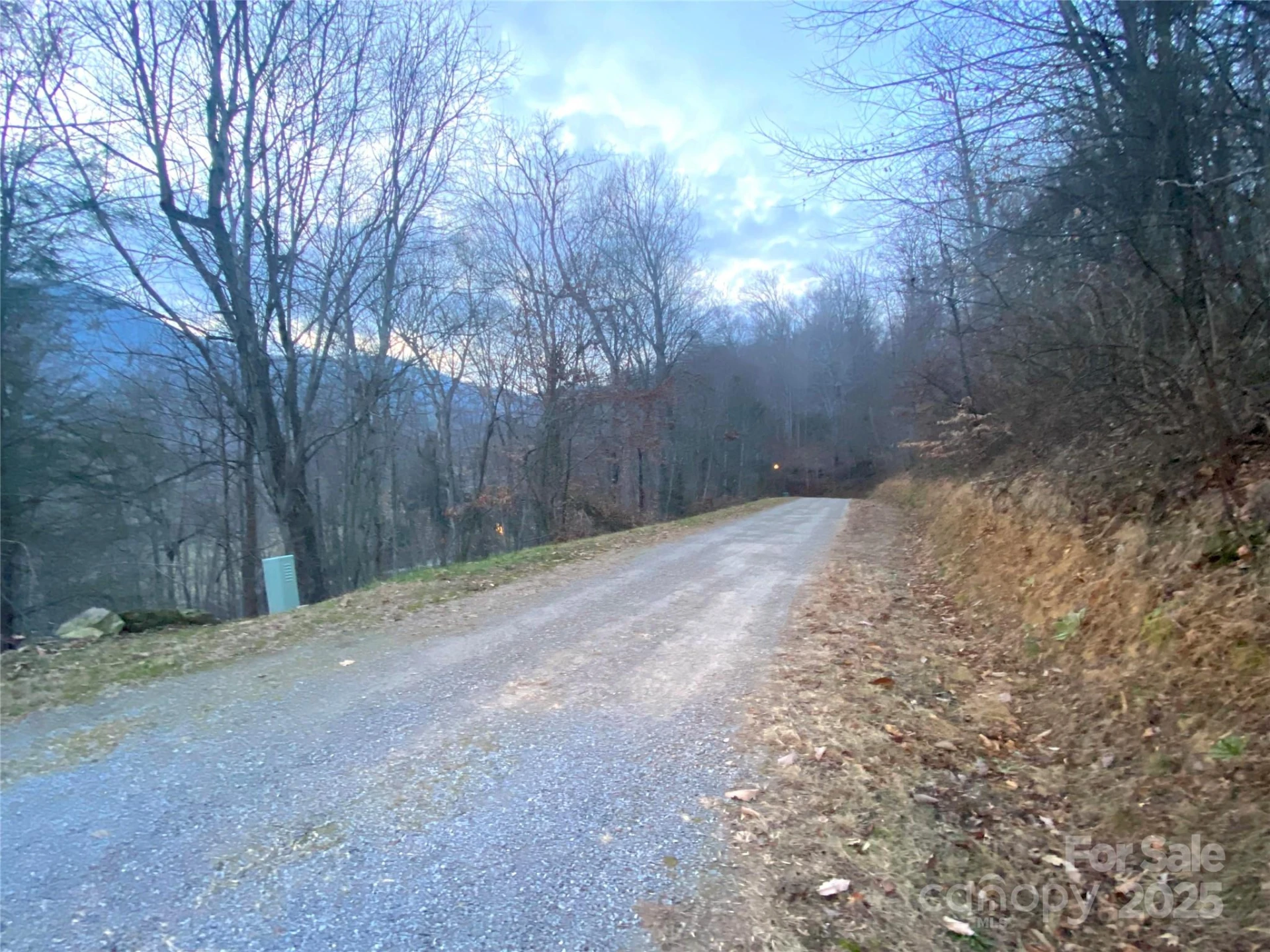 0 Asa Trail - Photo 2