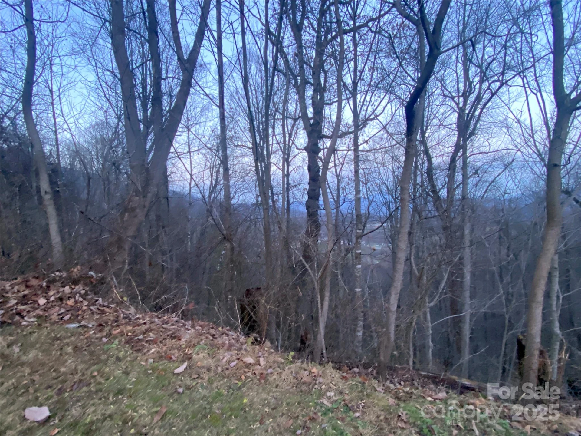 0 Asa Trail - Photo 3