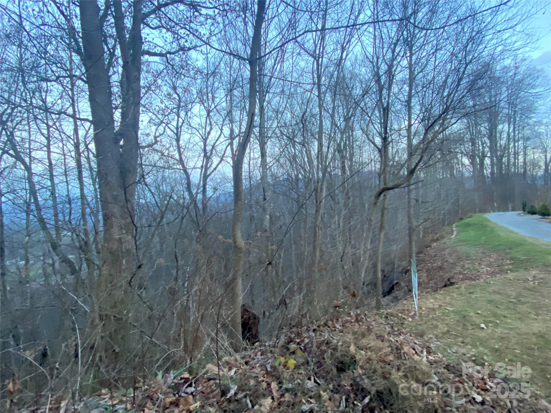 0 Asa Trail - Photo 5