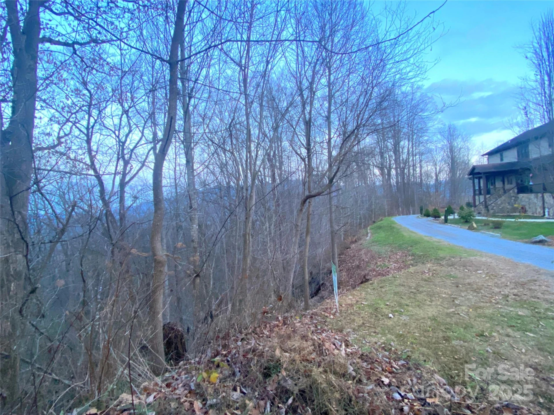 0 Asa Trail - Photo 6