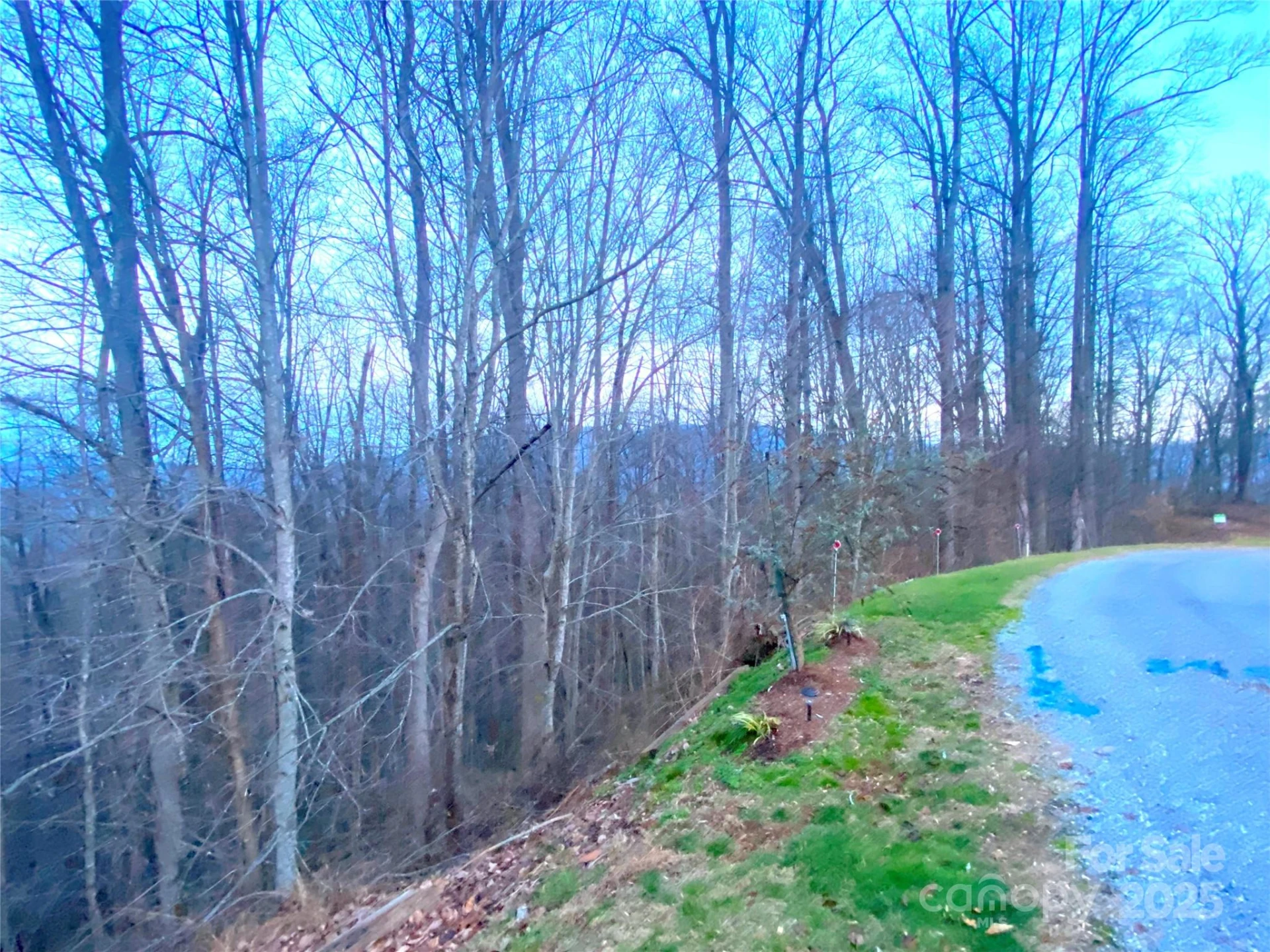 0 Asa Trail - Photo 9