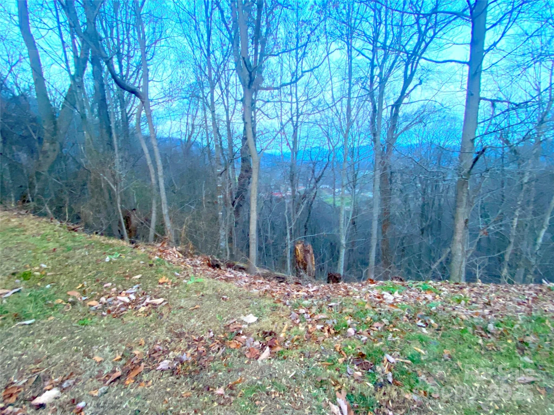0 Asa Trail - Photo 10
