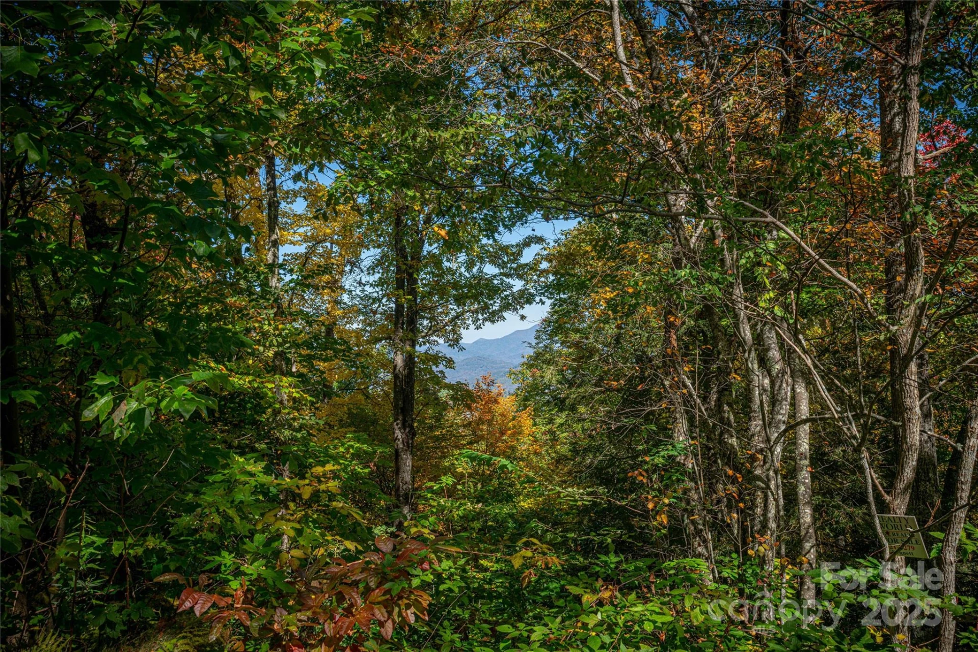 205 Chickadee Lane #205 - Photo 11