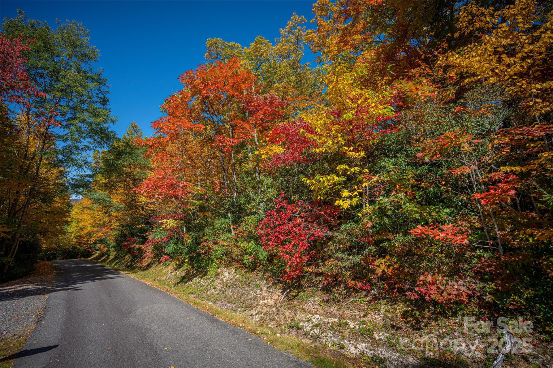 205 Chickadee Lane #205 - Photo 3