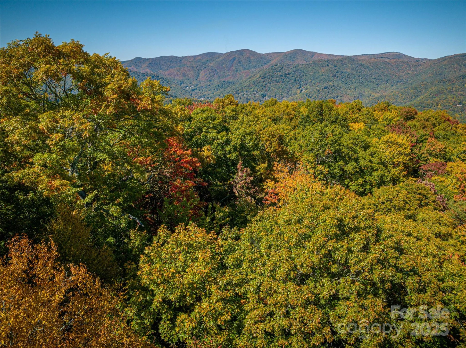 205 Chickadee Lane #205 - Photo 4