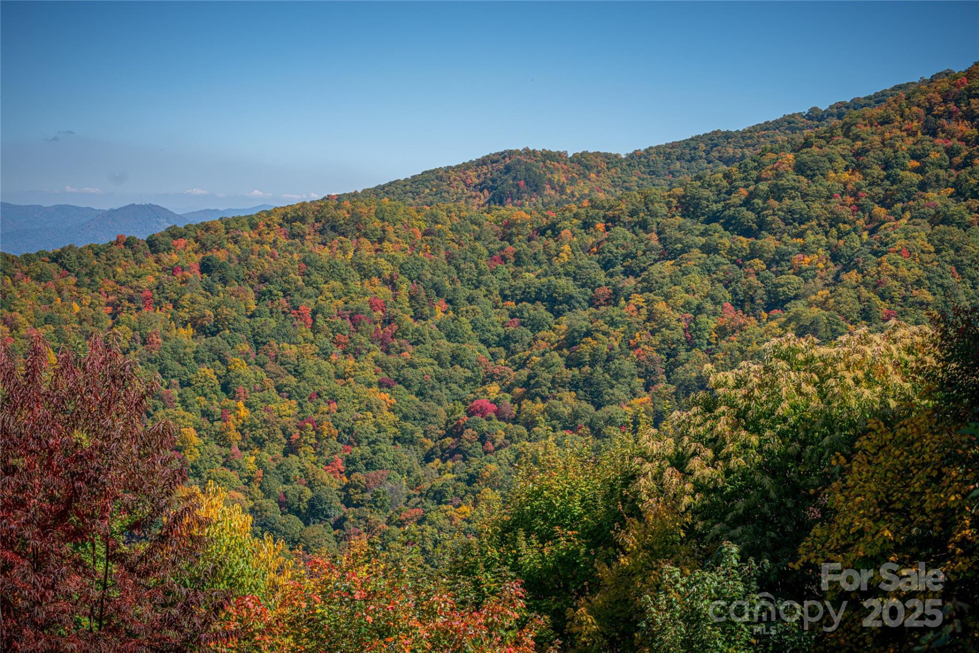 205 Chickadee Lane #205 - Photo 9