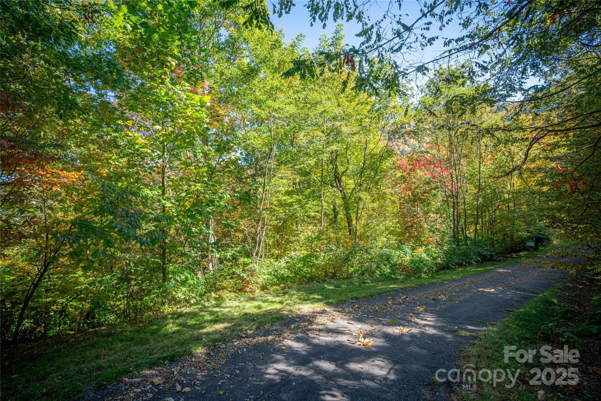 205 Chickadee Lane #205 - Photo 10