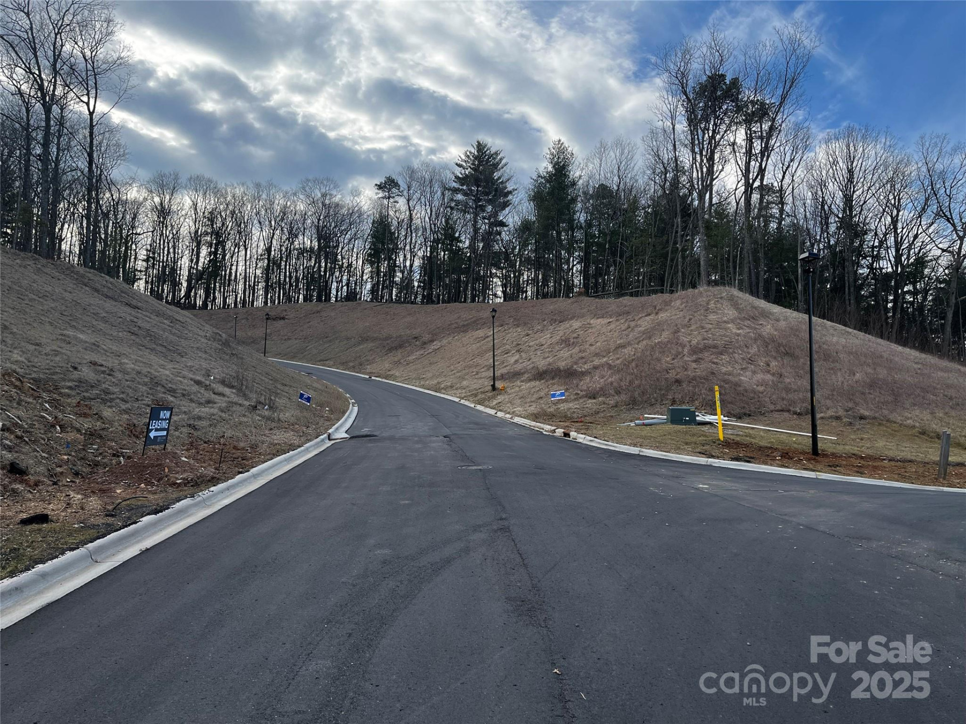 105 Woodland Meadows Drive #Tract A & B - Photo 11