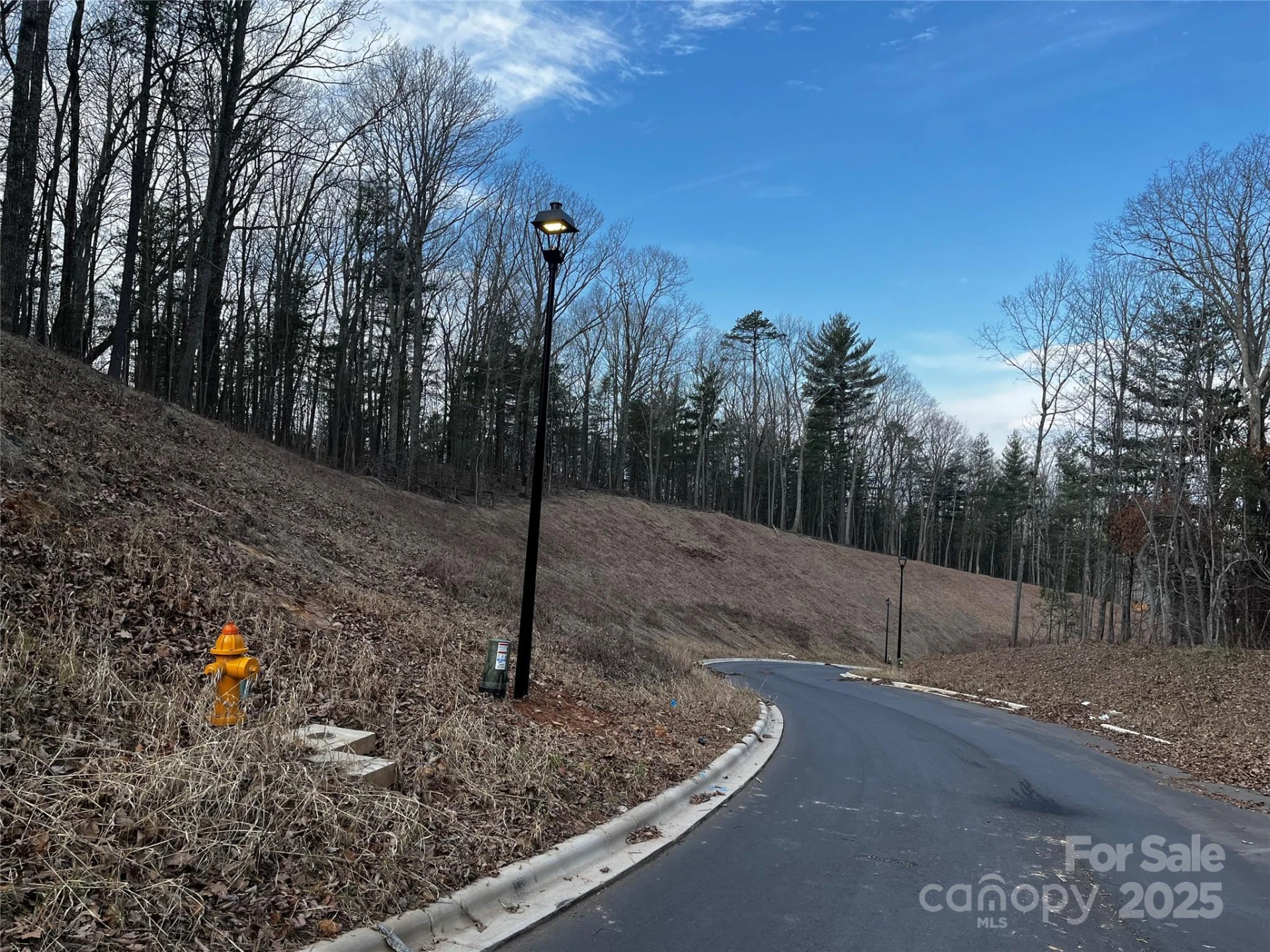 105 Woodland Meadows Drive #Tract A & B - Photo 3