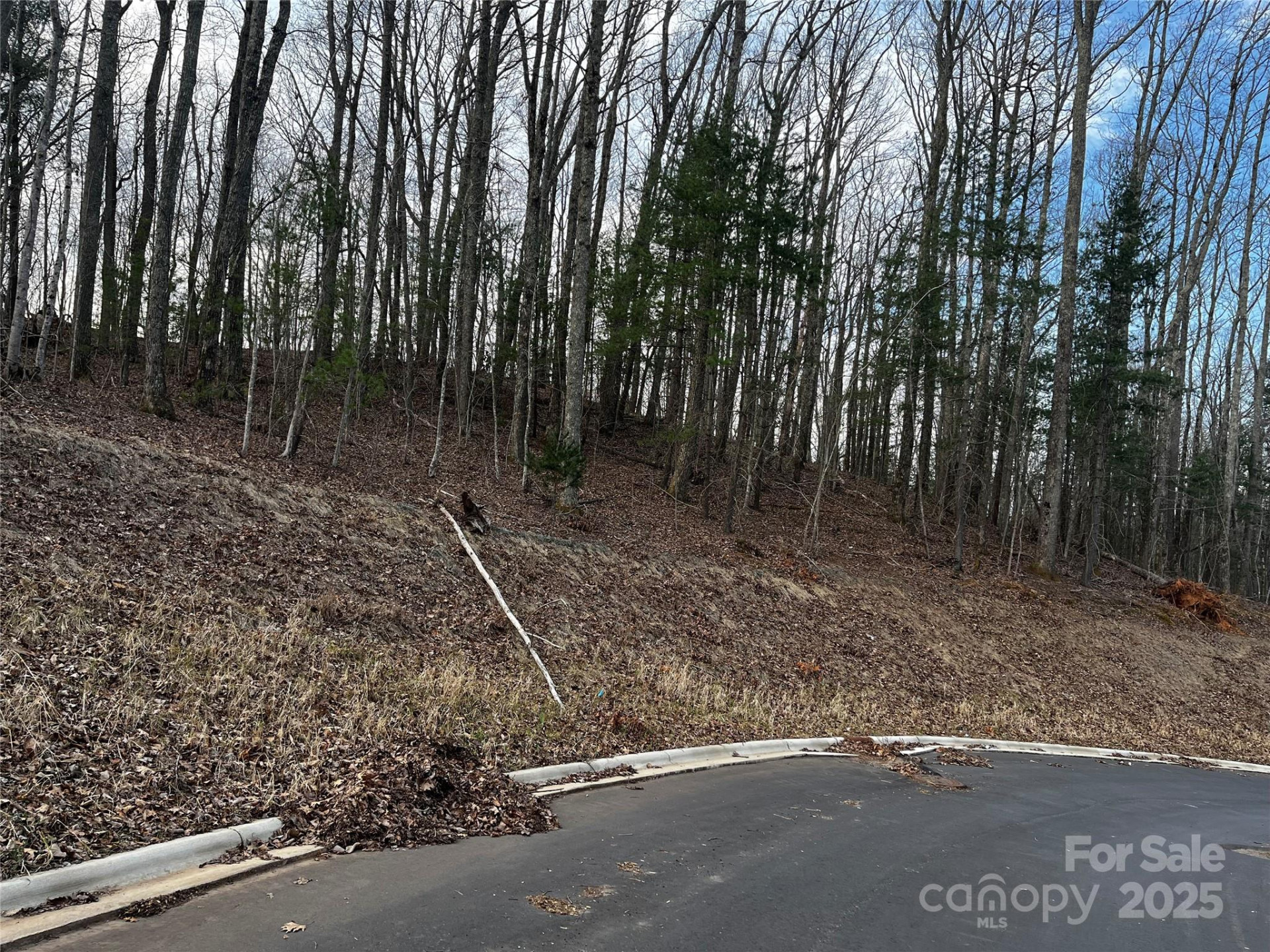 105 Woodland Meadows Drive #Tract A & B - Photo 4