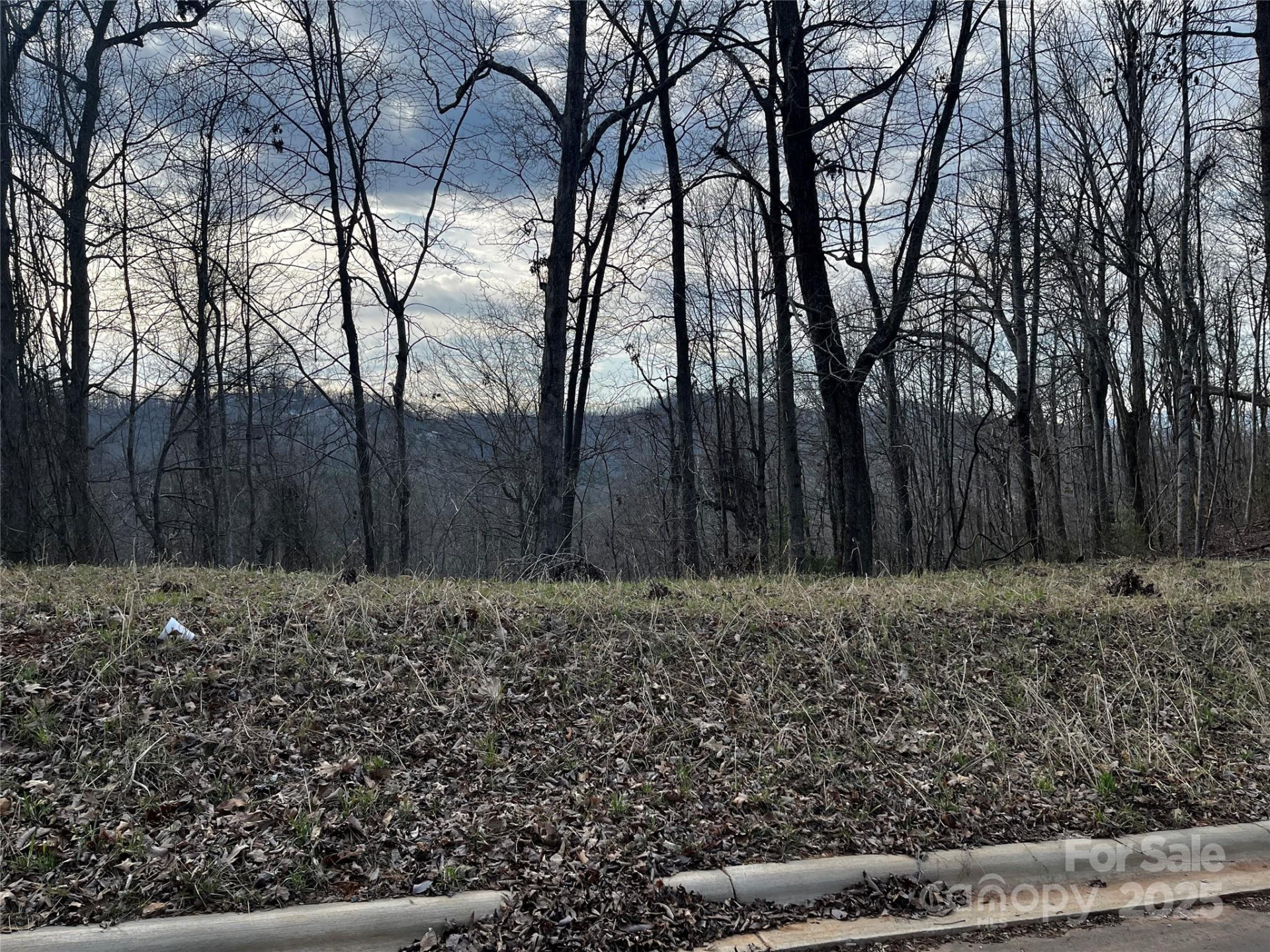 105 Woodland Meadows Drive #Tract A & B - Photo 5