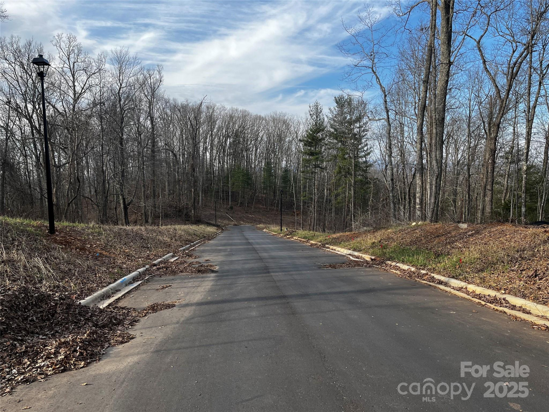 105 Woodland Meadows Drive #Tract A & B - Photo 6