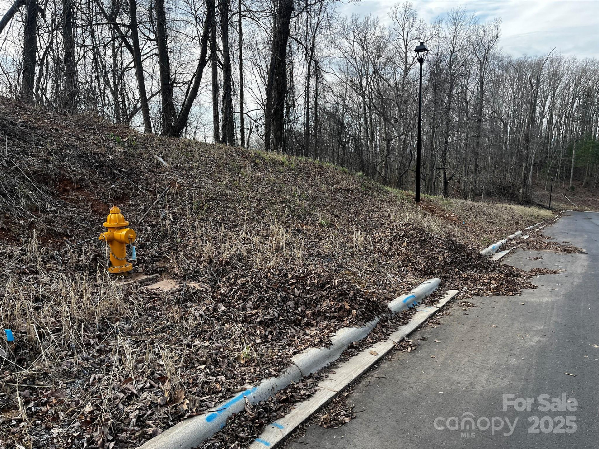 105 Woodland Meadows Drive #Tract A & B - Photo 7