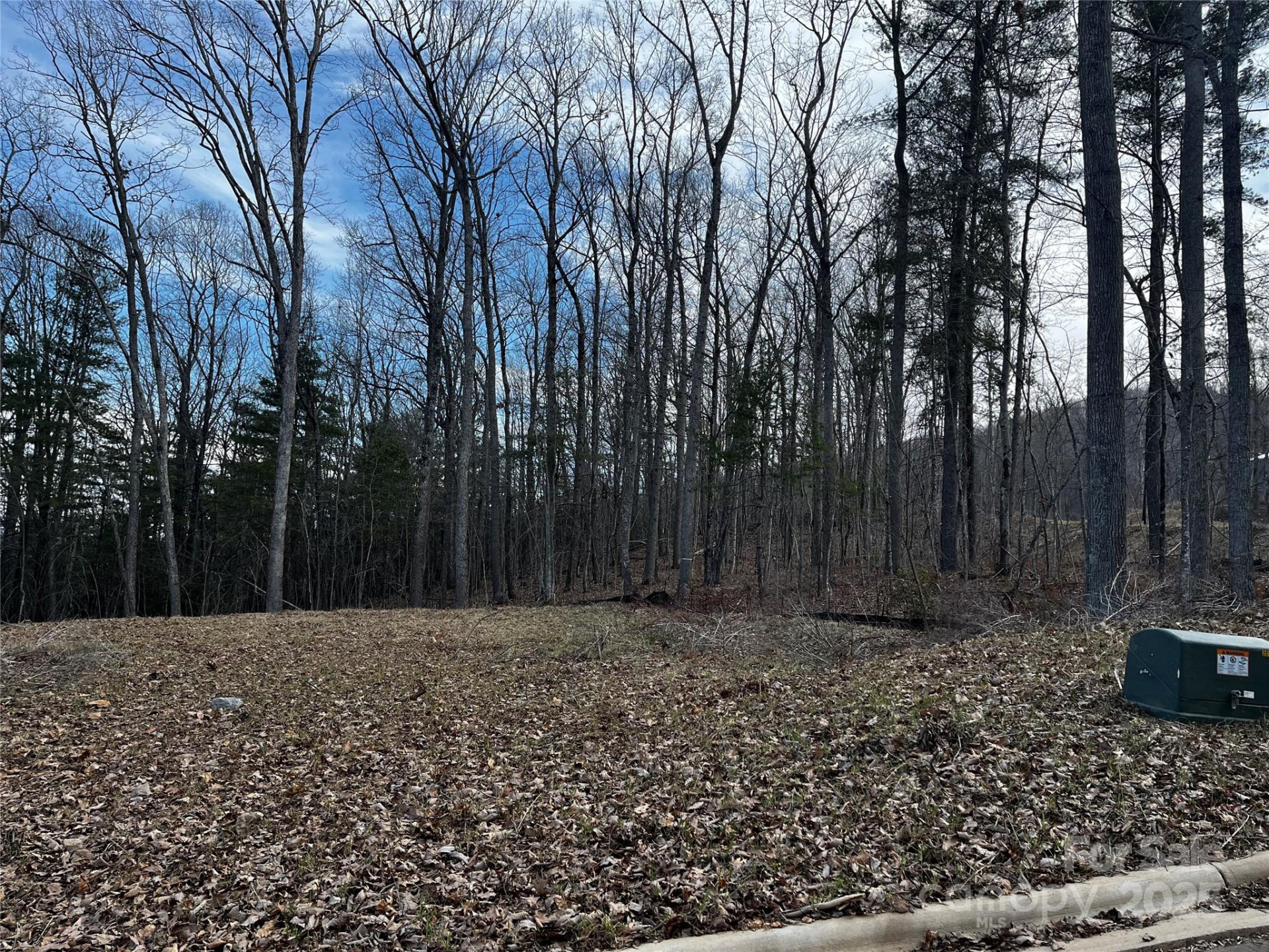 105 Woodland Meadows Drive #Tract A & B - Photo 9