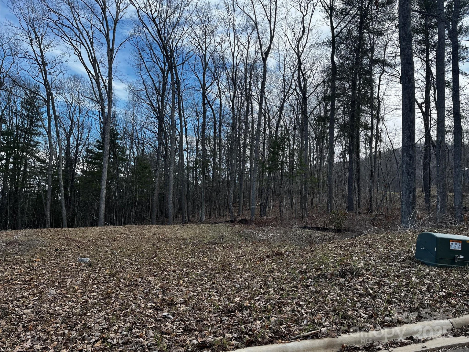 105 Woodland Meadows Drive #Tract A & B - Photo 9