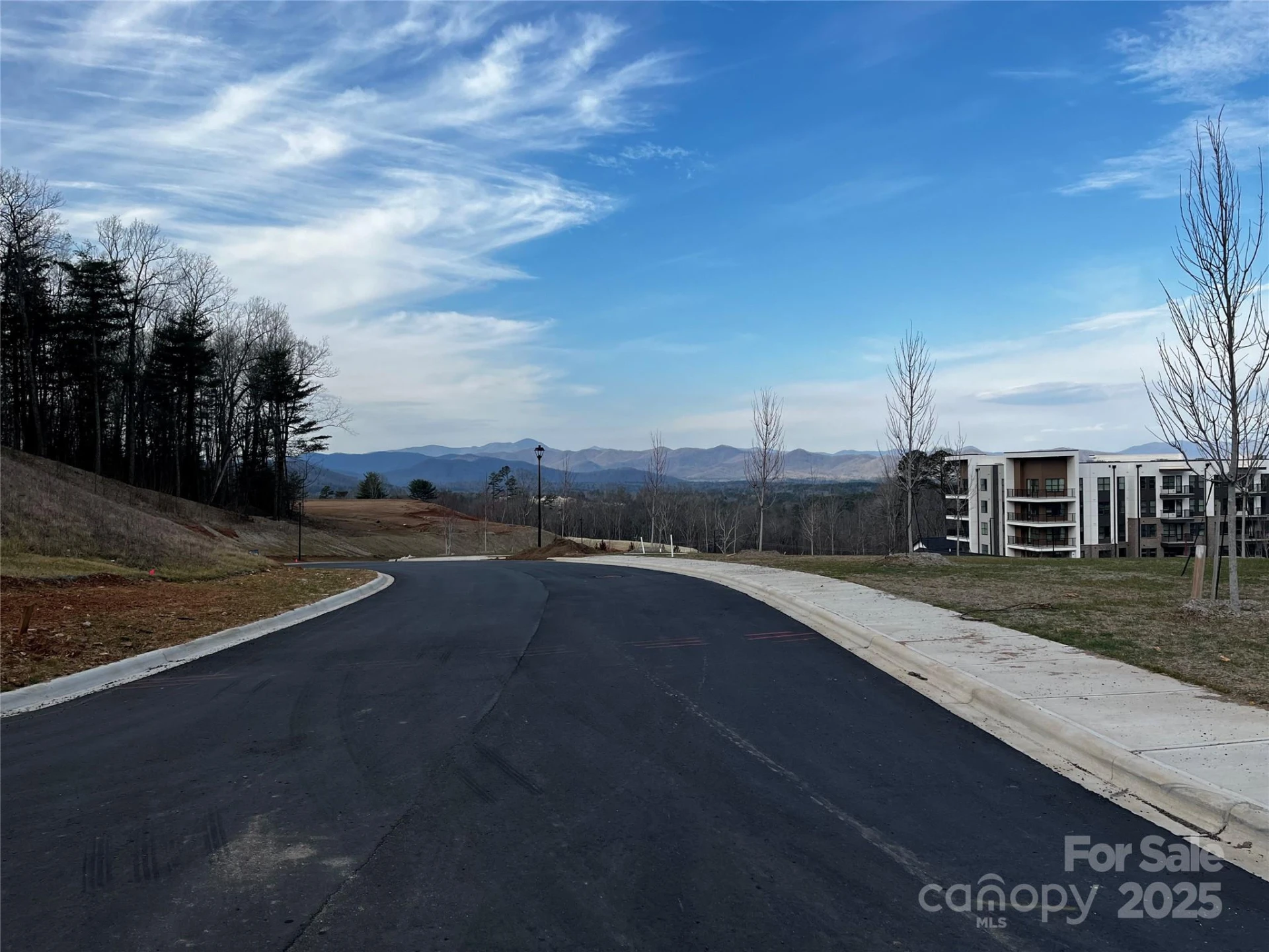 105 Woodland Meadows Drive #Tract A & B - Photo 10