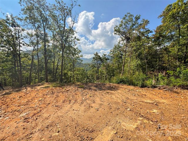 8888 Cedar Creek Farm Road, Tuckasegee, NC, 28783