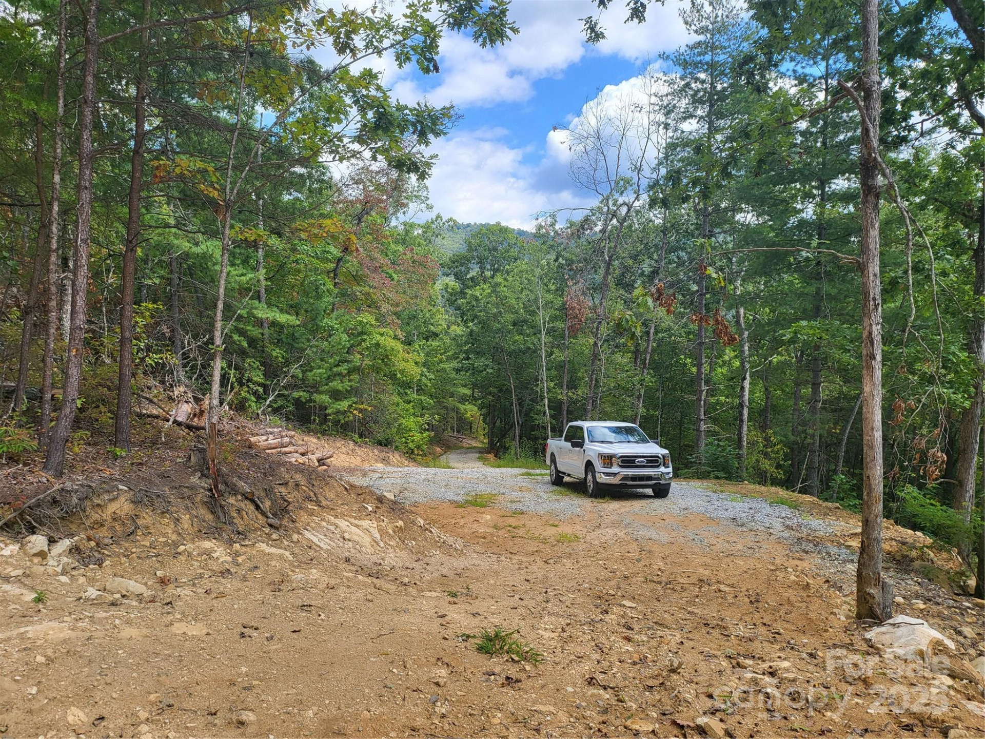 8888 Cedar Creek Farm Road - Photo 11
