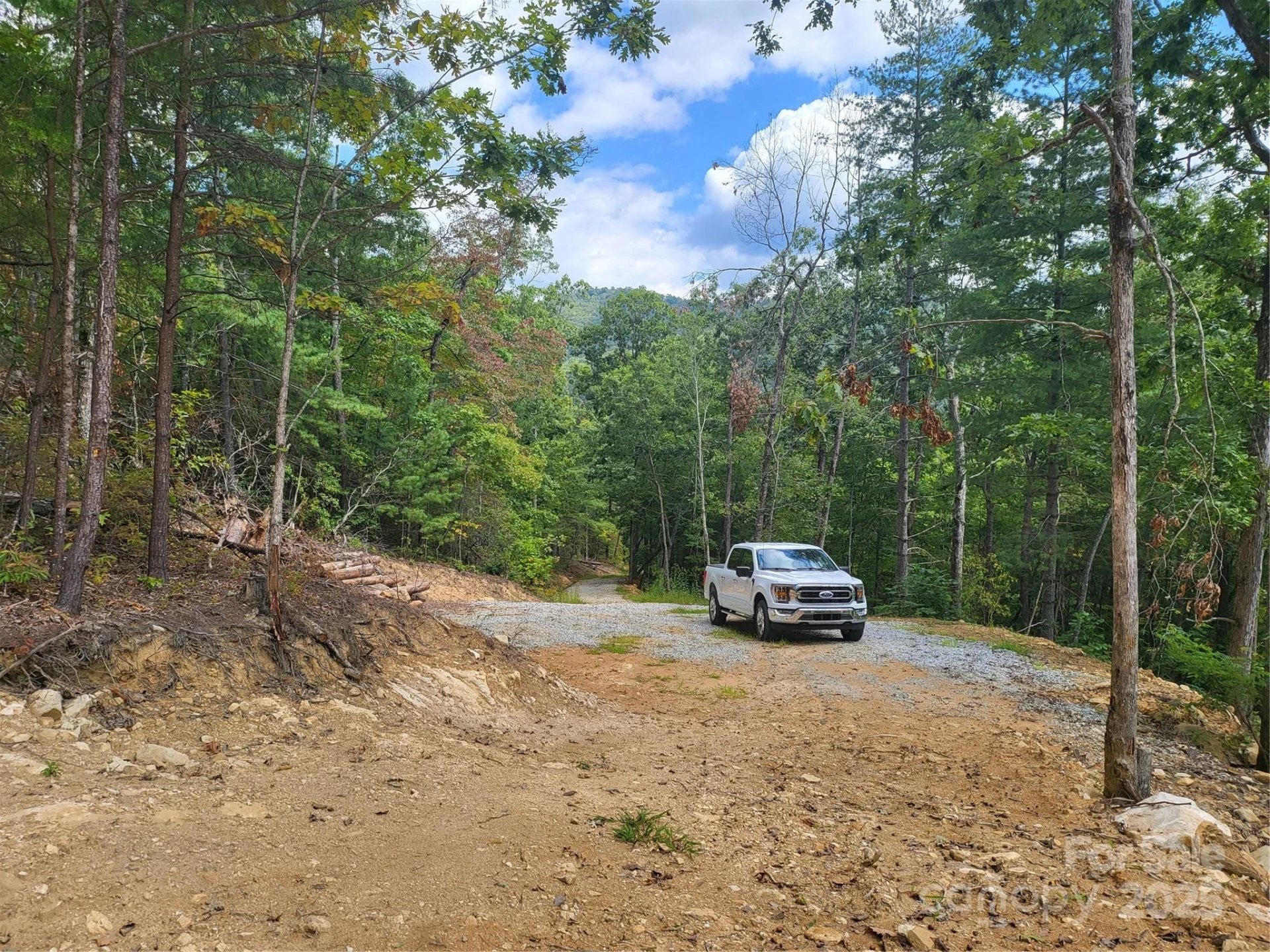 8888 Cedar Creek Farm Road - Photo 11