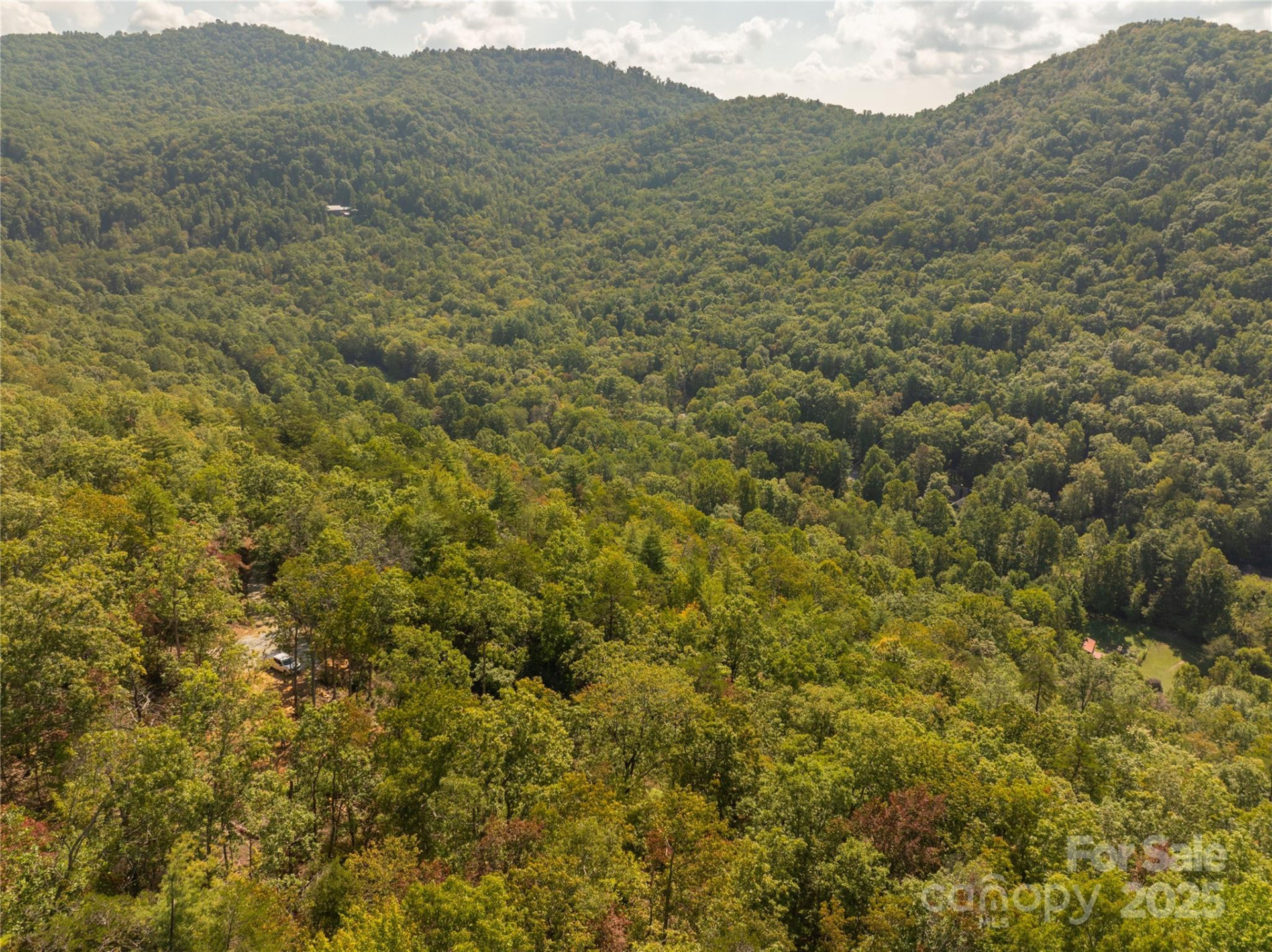 8888 Cedar Creek Farm Road - Photo 15