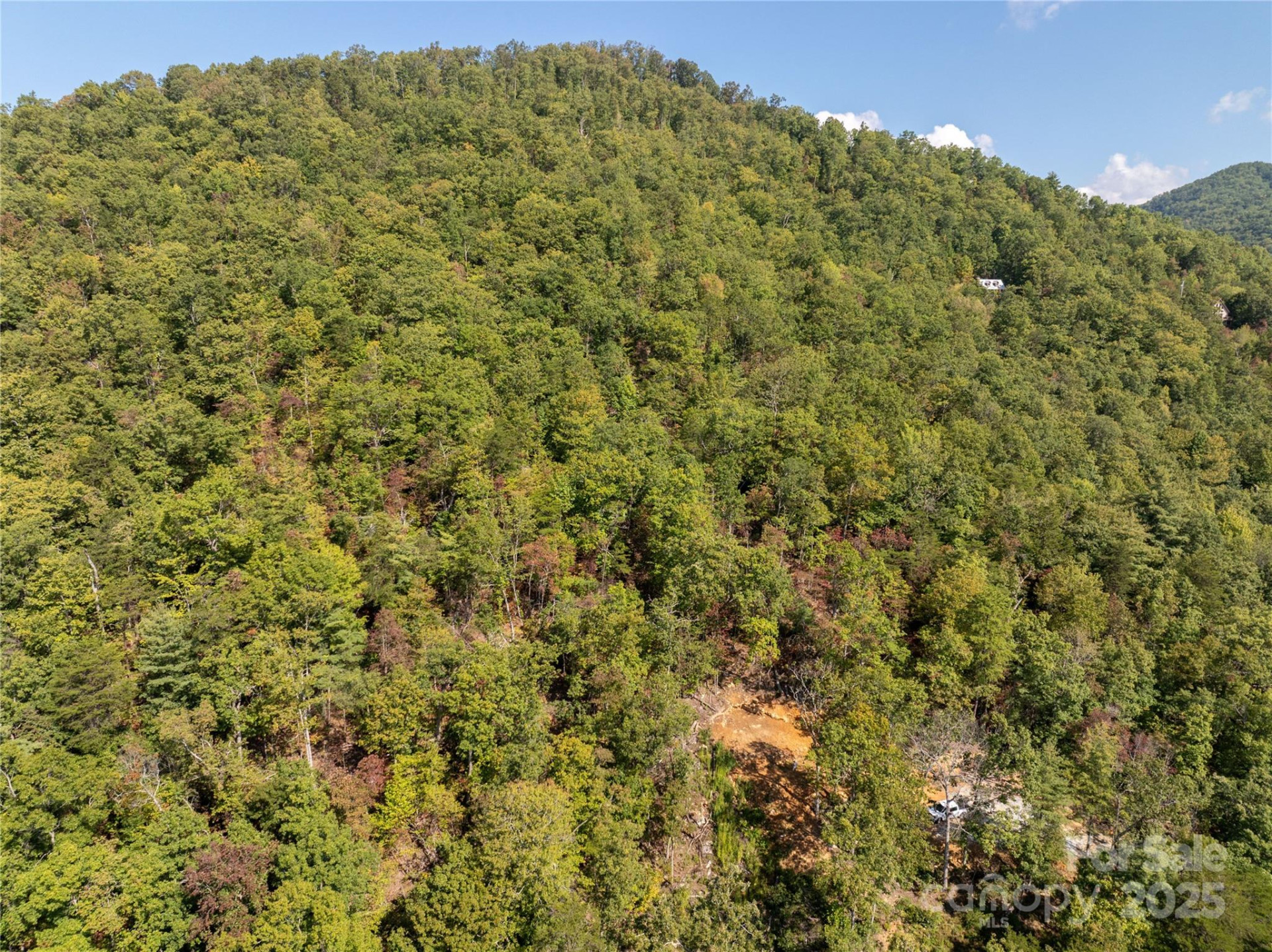 8888 Cedar Creek Farm Road - Photo 16