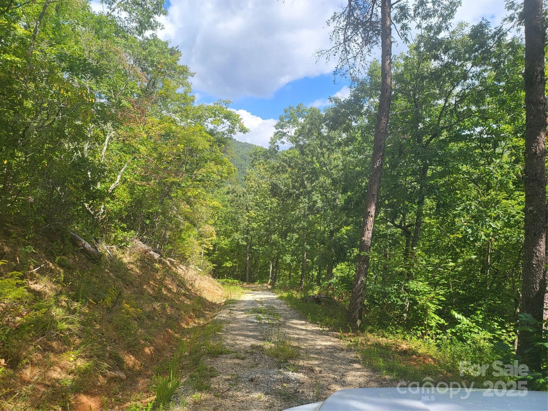 8888 Cedar Creek Farm Road - Photo 17