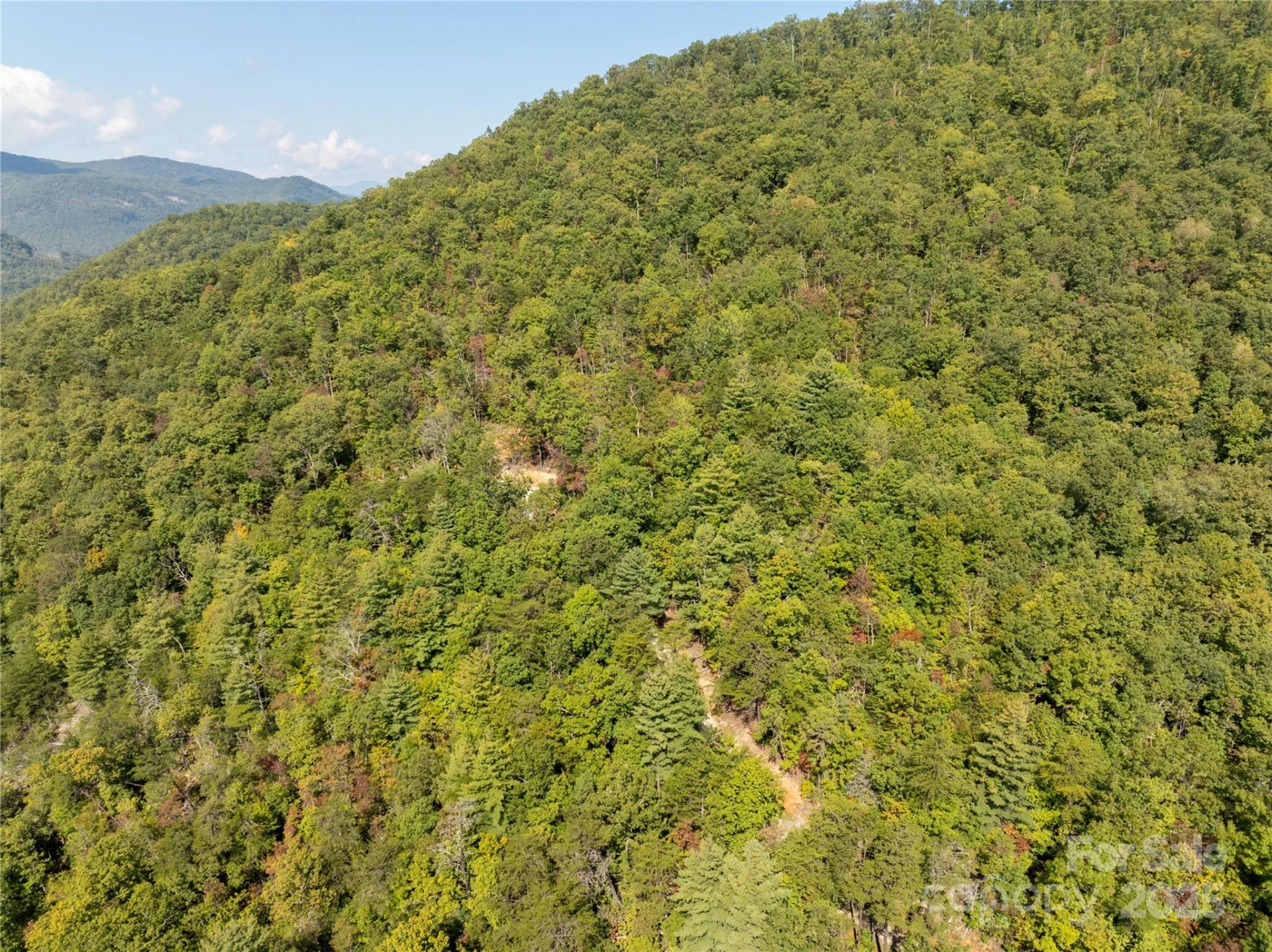 8888 Cedar Creek Farm Road - Photo 18