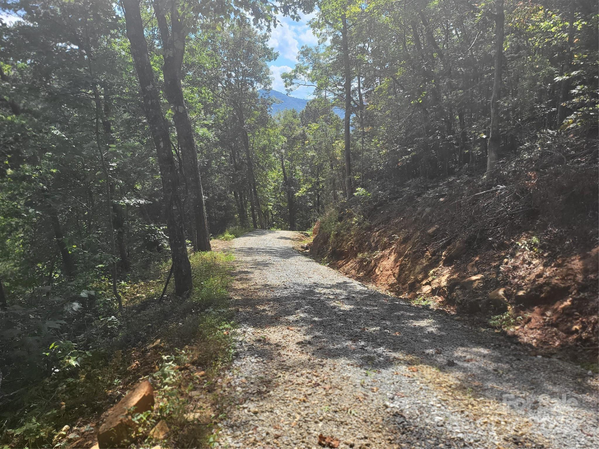 8888 Cedar Creek Farm Road - Photo 19