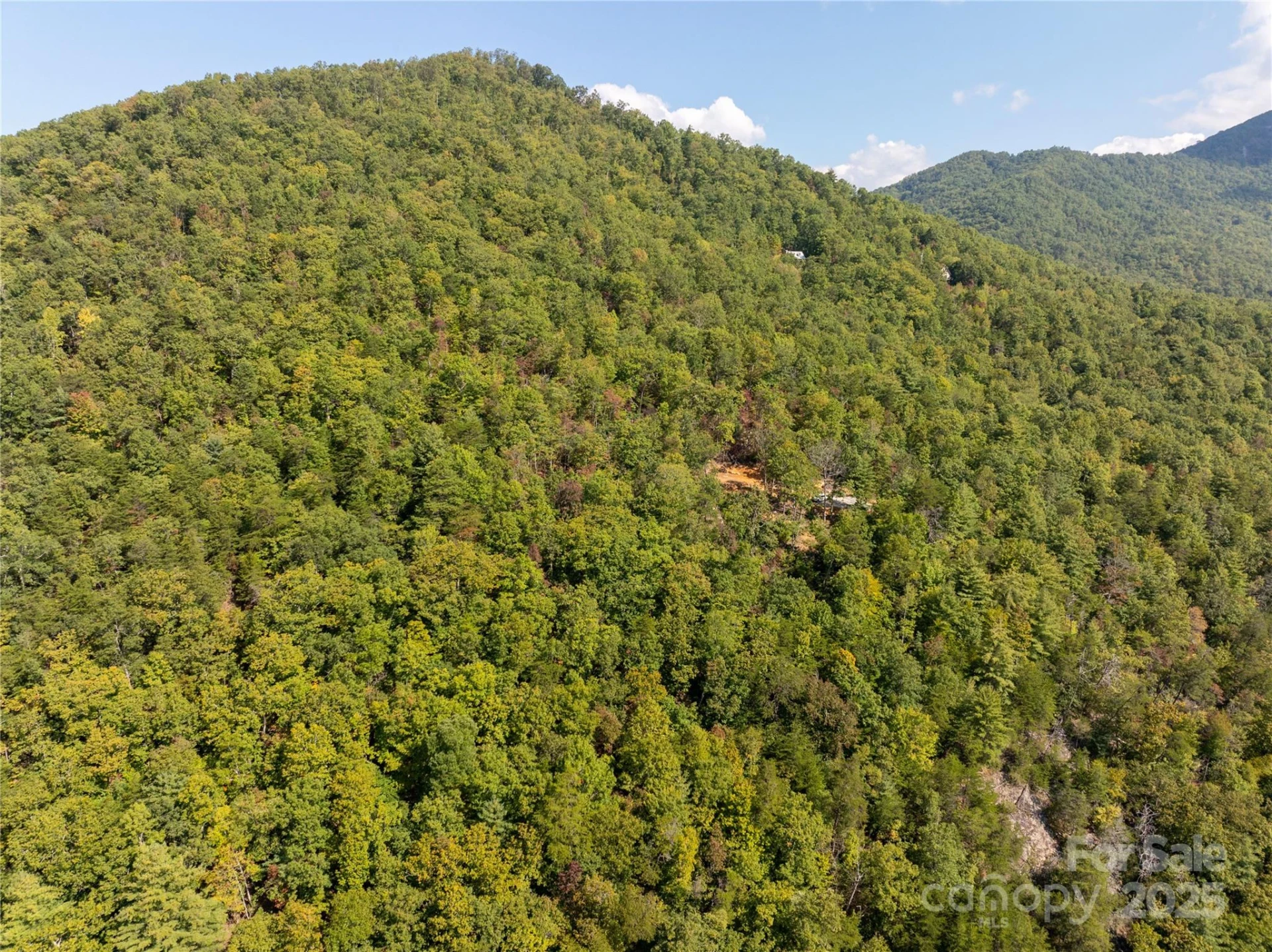 8888 Cedar Creek Farm Road - Photo 20