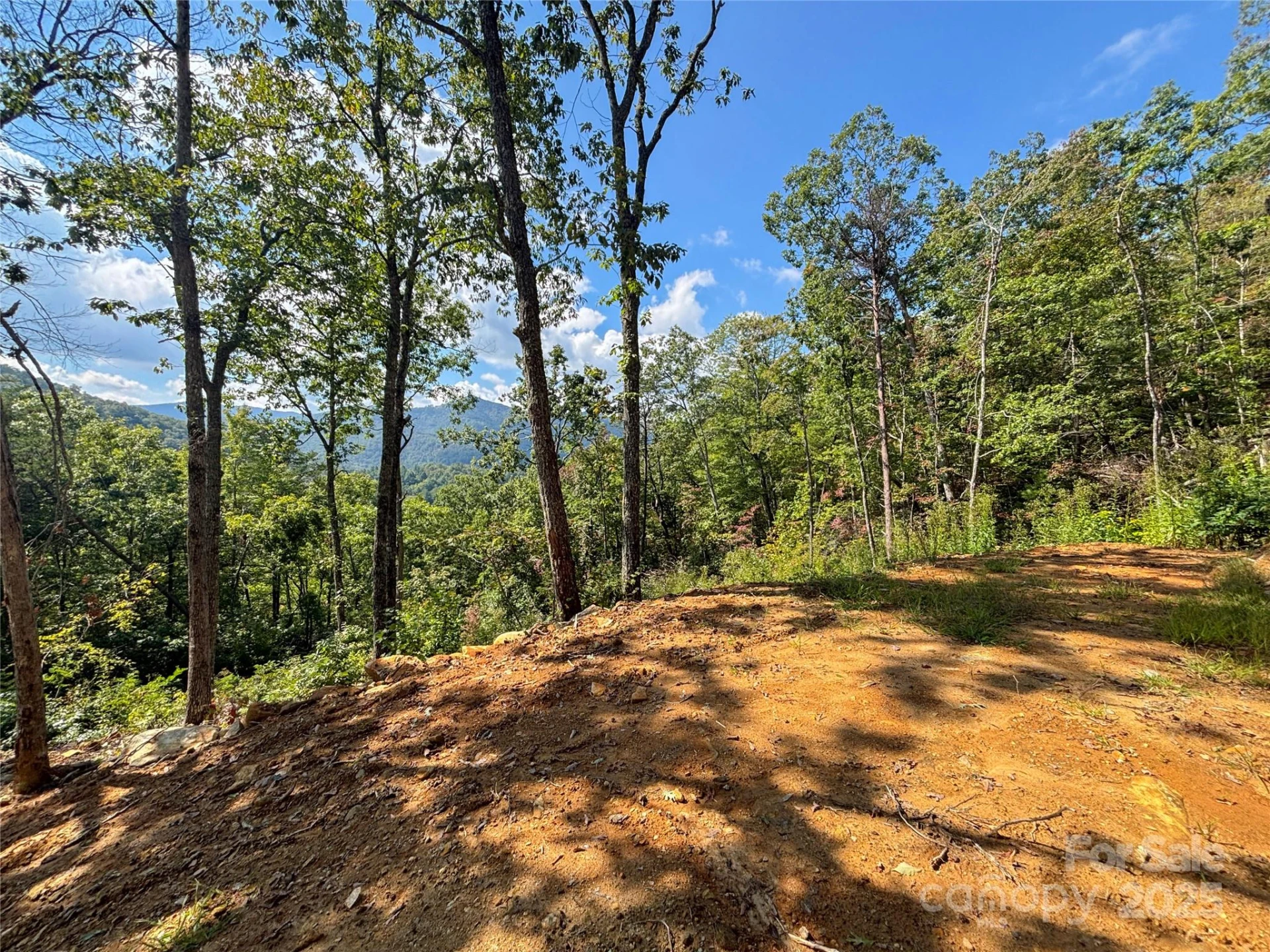 8888 Cedar Creek Farm Road - Photo 3