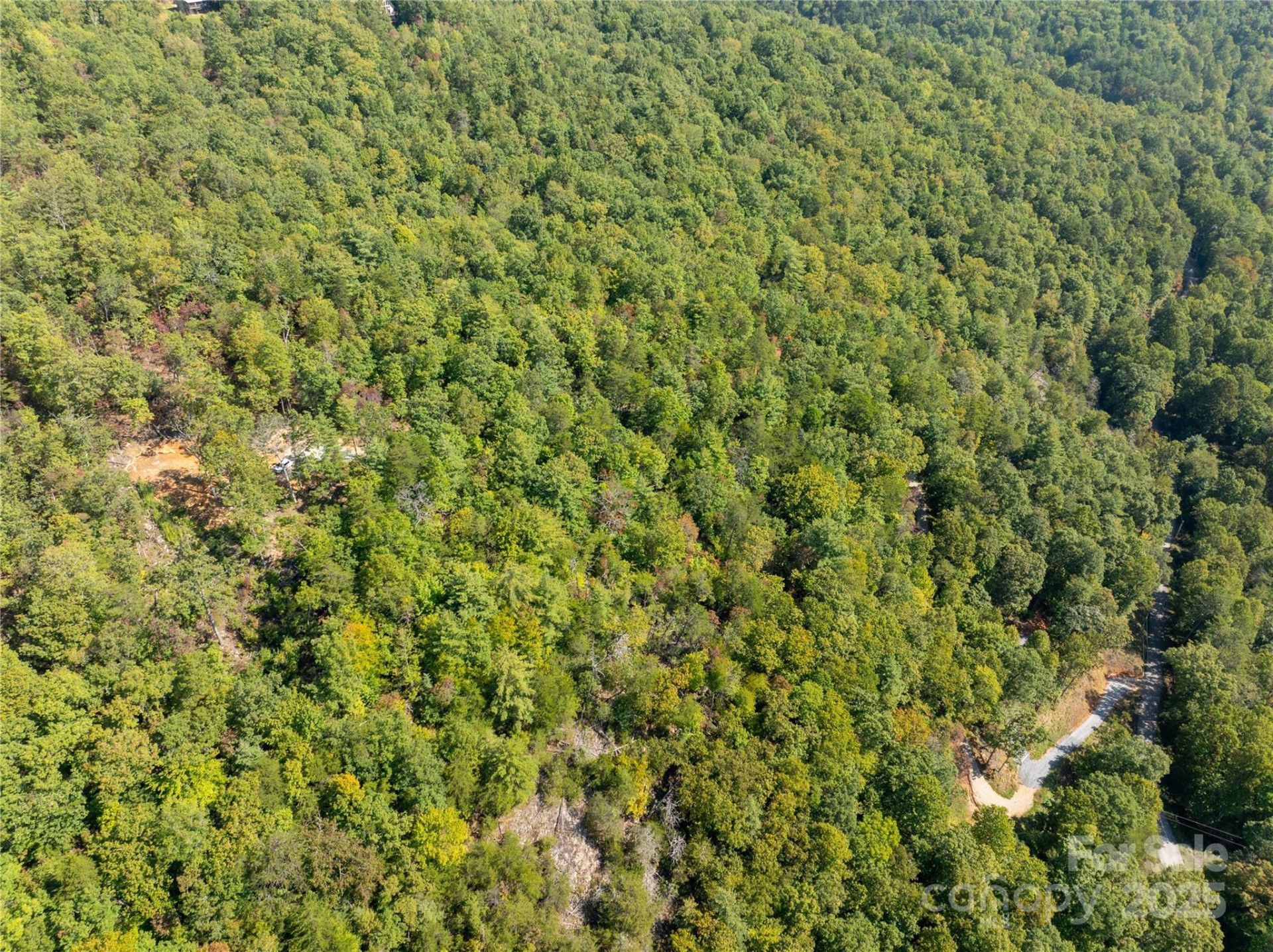 8888 Cedar Creek Farm Road - Photo 21