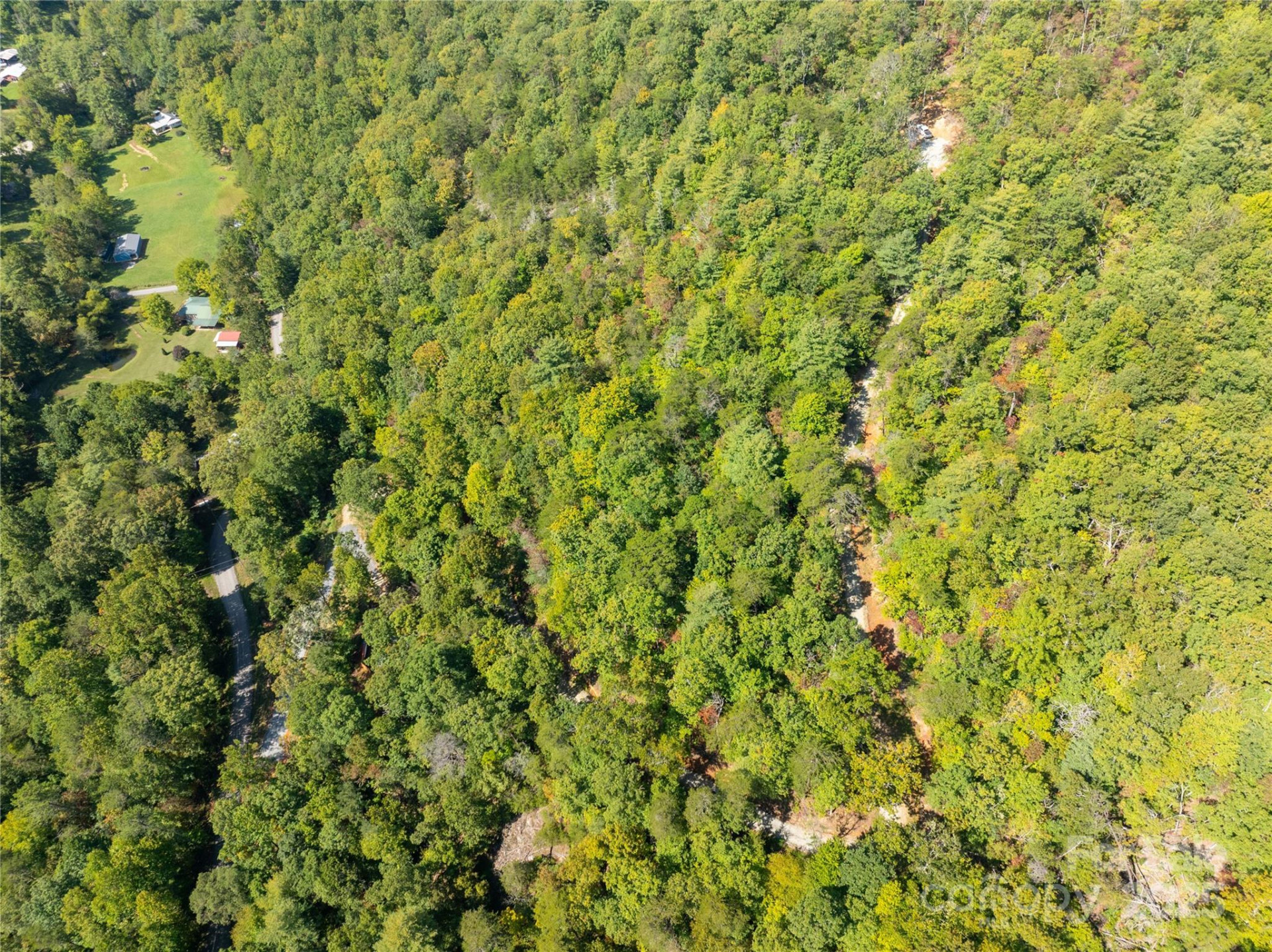 8888 Cedar Creek Farm Road - Photo 22