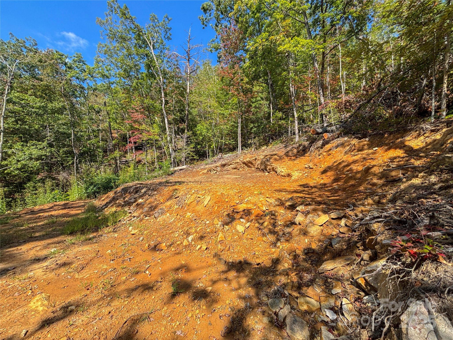 8888 Cedar Creek Farm Road - Photo 23
