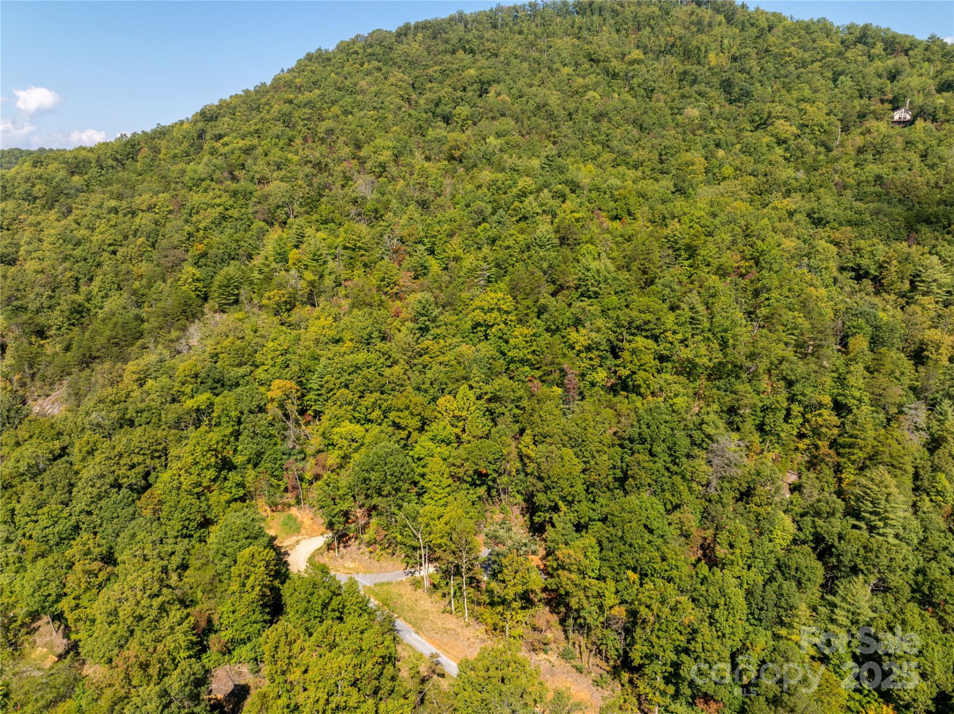 8888 Cedar Creek Farm Road - Photo 4