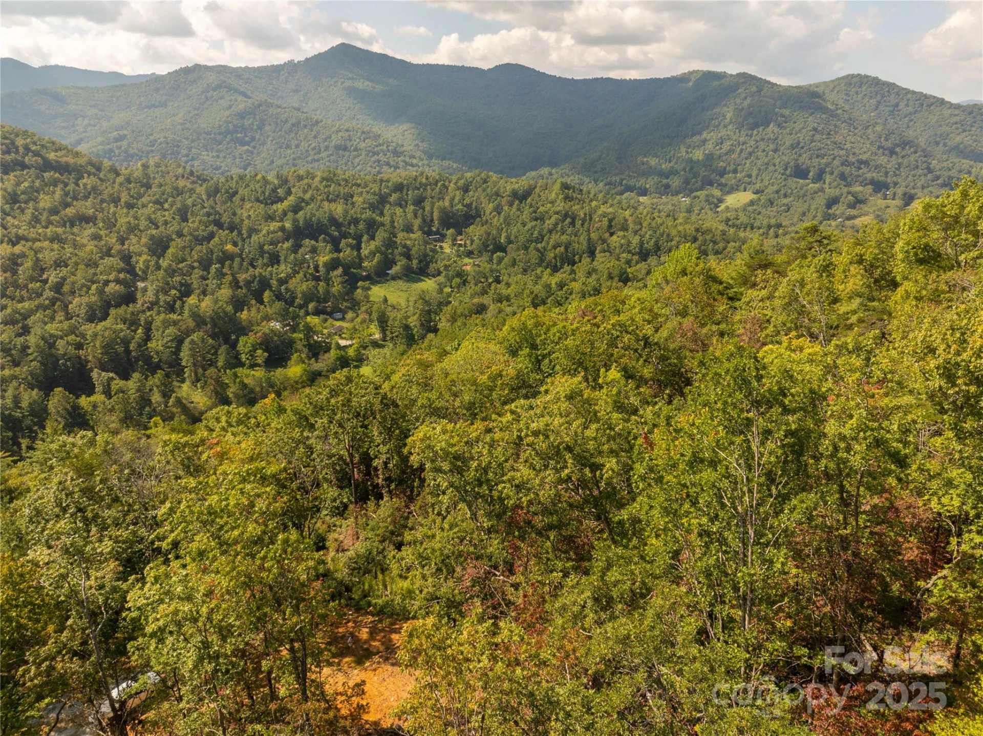 8888 Cedar Creek Farm Road - Photo 5