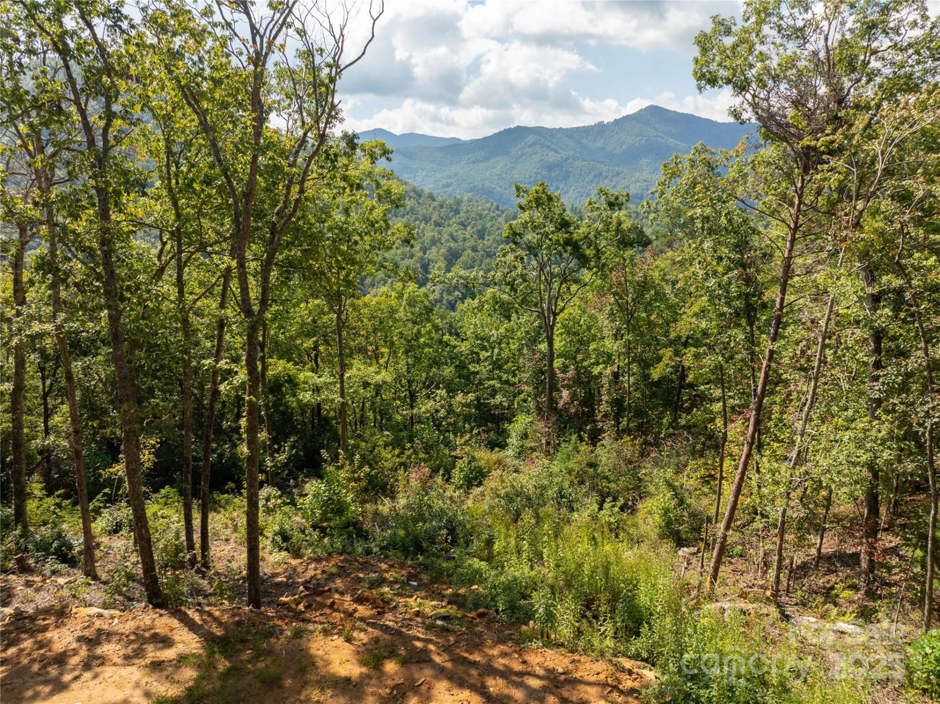 8888 Cedar Creek Farm Road - Photo 6