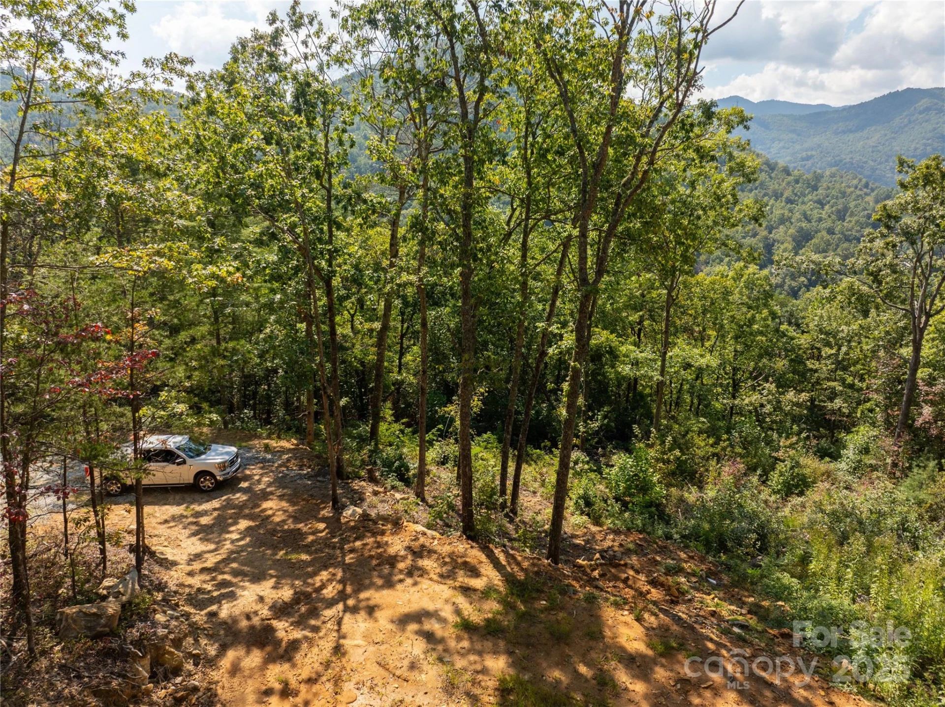 8888 Cedar Creek Farm Road - Photo 7