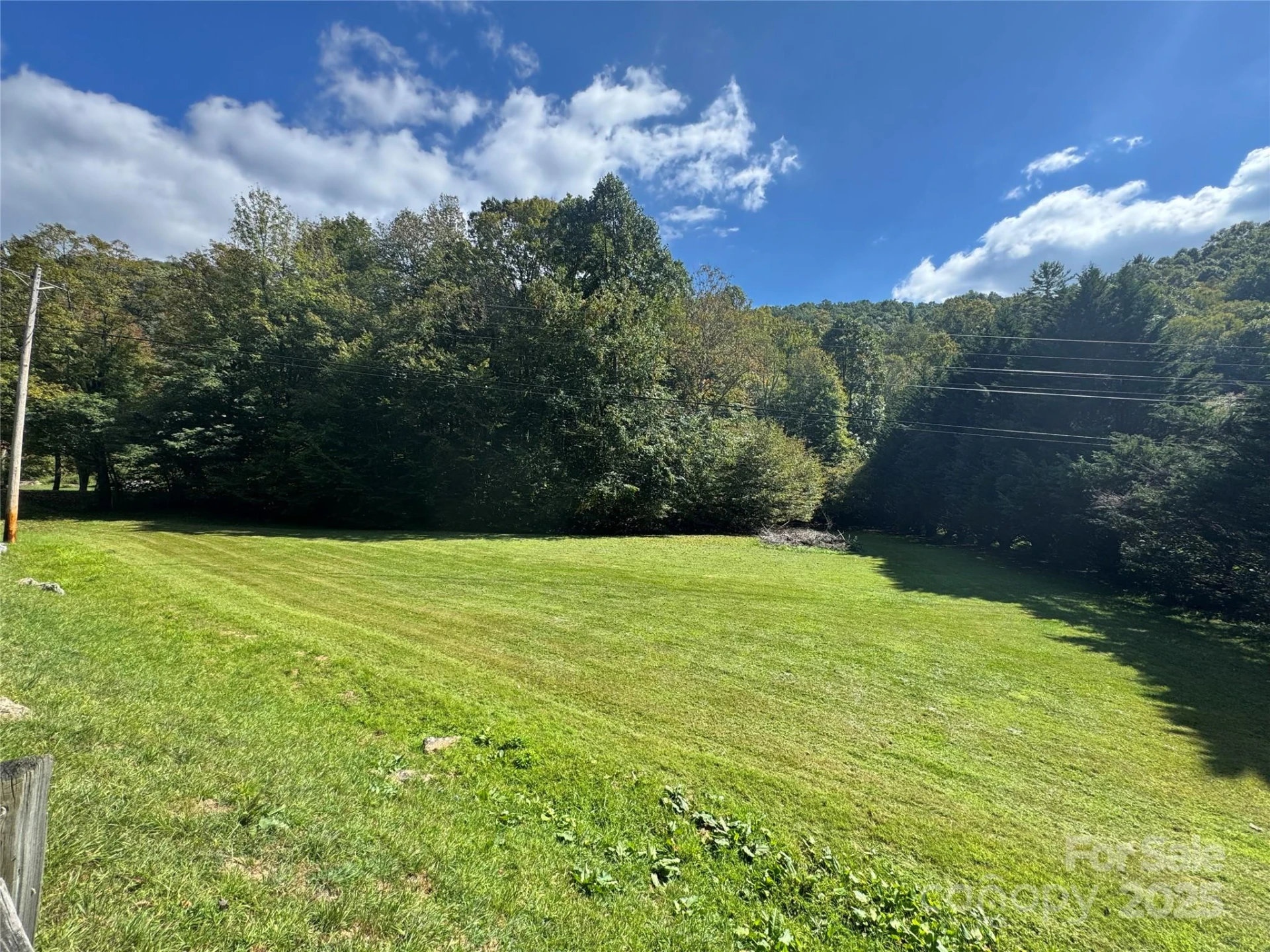 00 Puncheon Fork Road - Photo 2