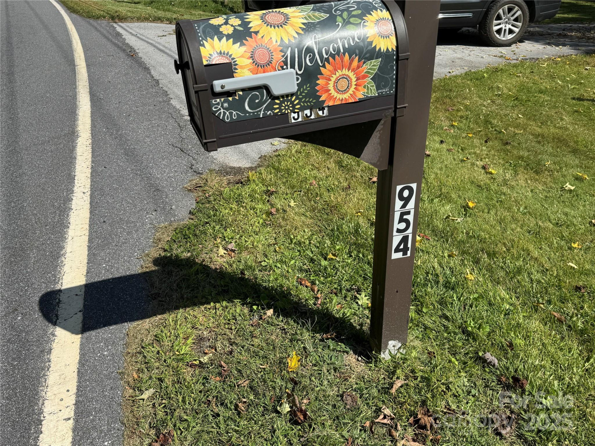 00 Puncheon Fork Road - Photo 12