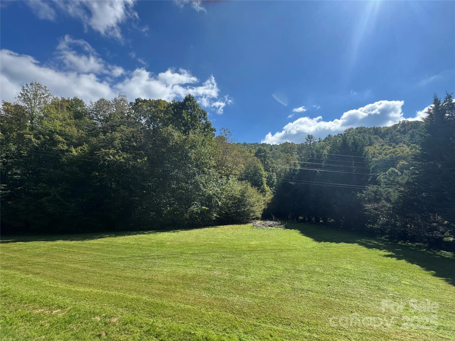 00 Puncheon Fork Road - Photo 3