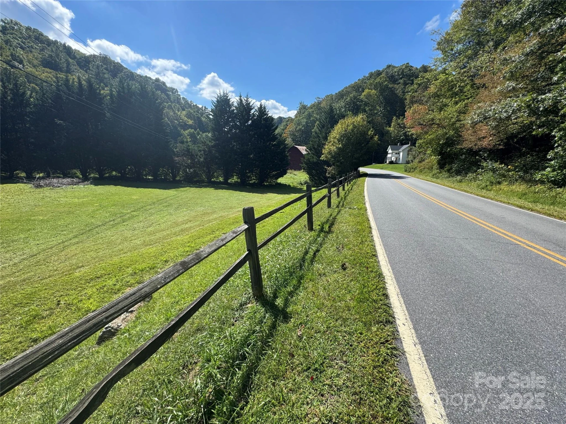 00 Puncheon Fork Road - Photo 4