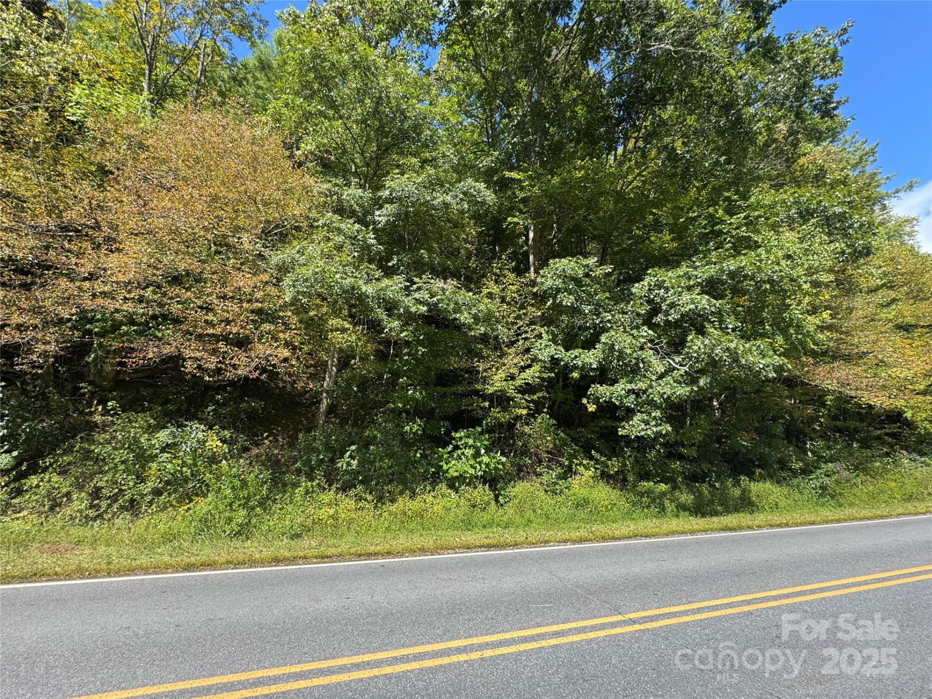 00 Puncheon Fork Road - Photo 6
